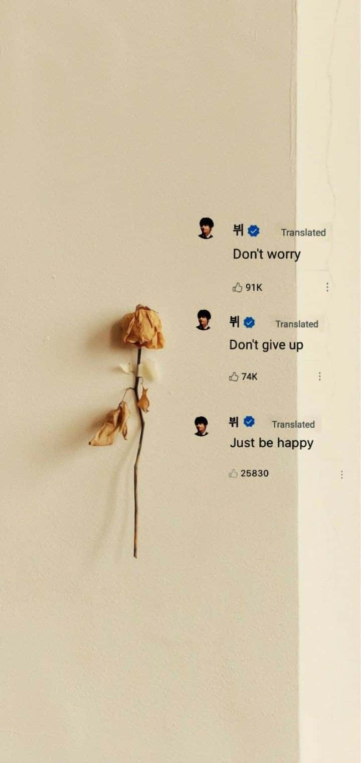 BTS Lyrics, dried flower, plain wall, HD Phone Wallpaper