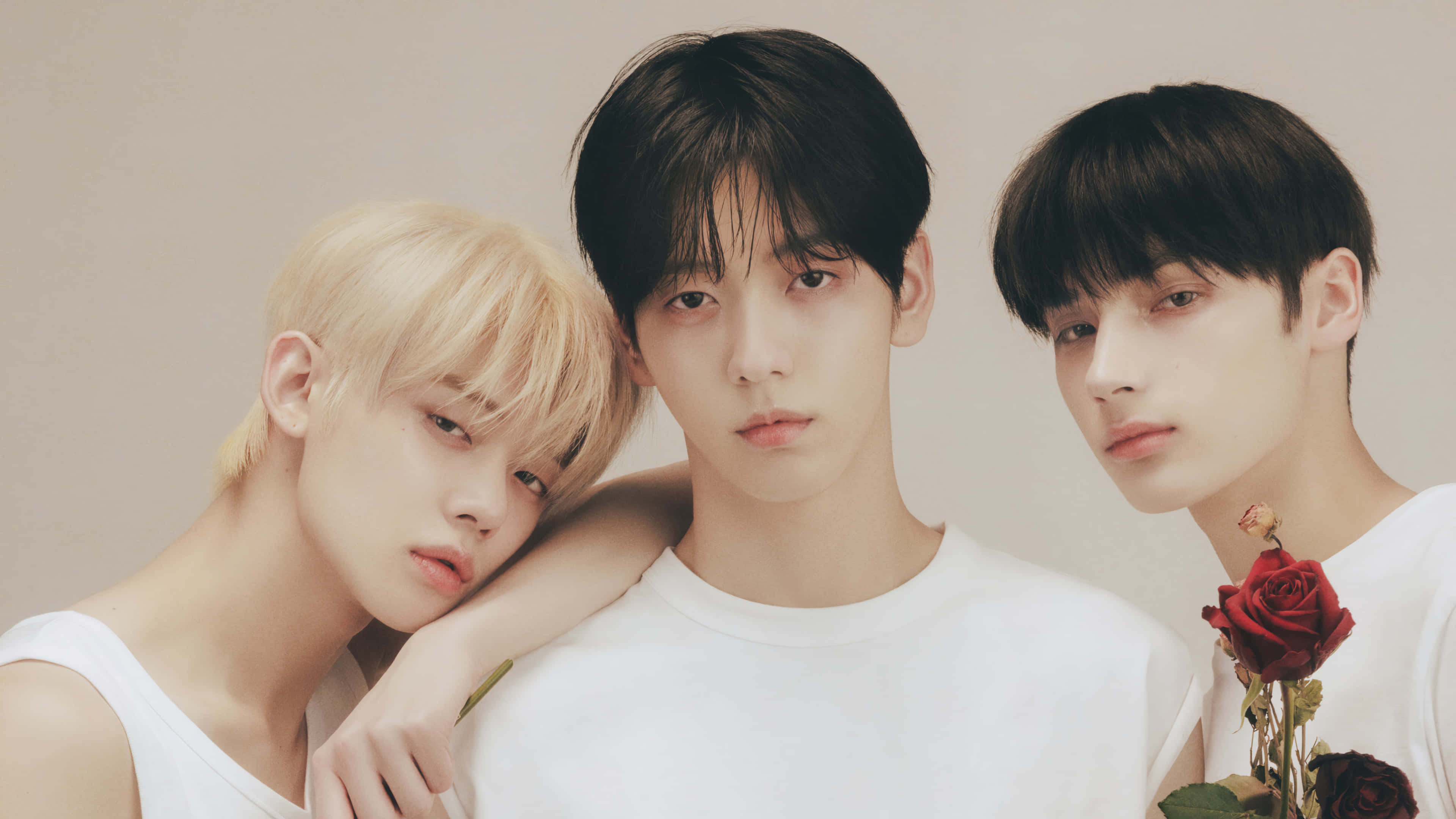 bts, white tops, soft beige background, 4K Desktop Wallpaper