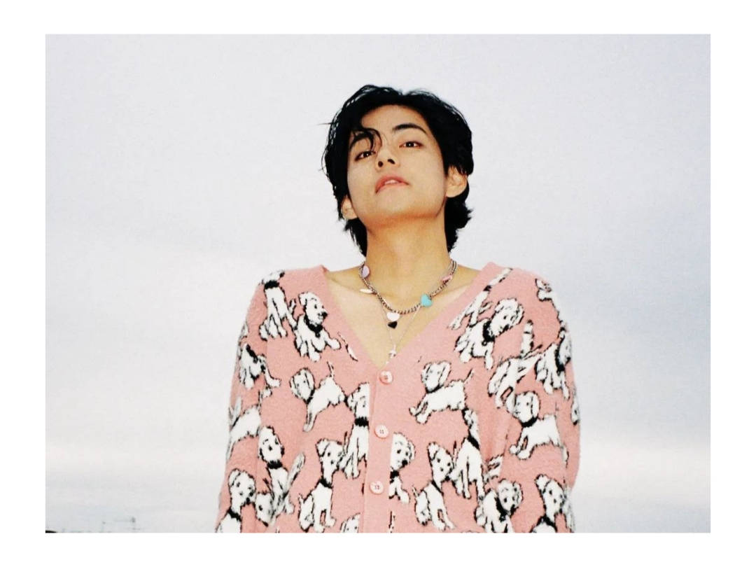 BTS V, pink puppy cardigan, overcast sky, SD Desktop Wallpaper