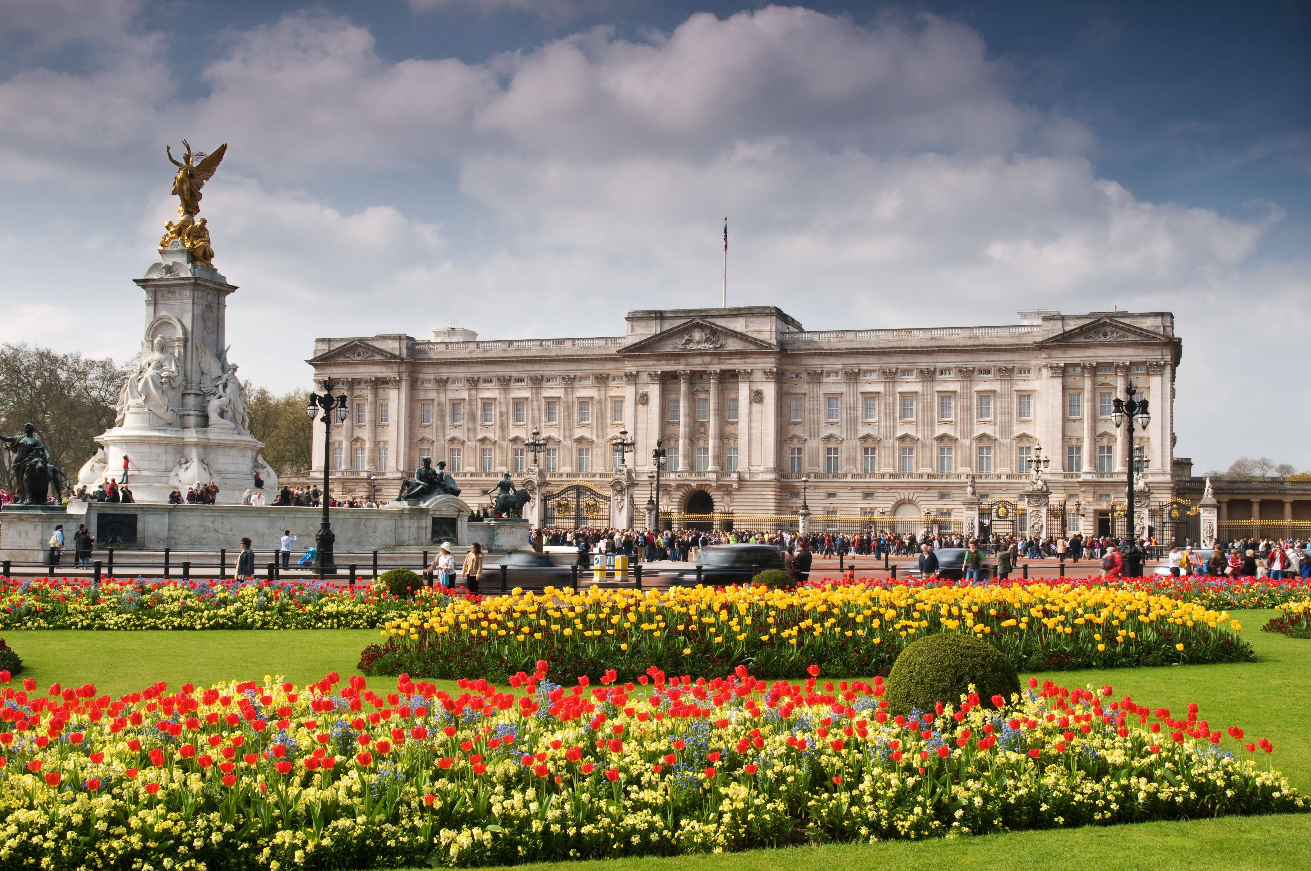 Buckingham Palace, blooming garden, red tulips, 4K Desktop Wallpaper