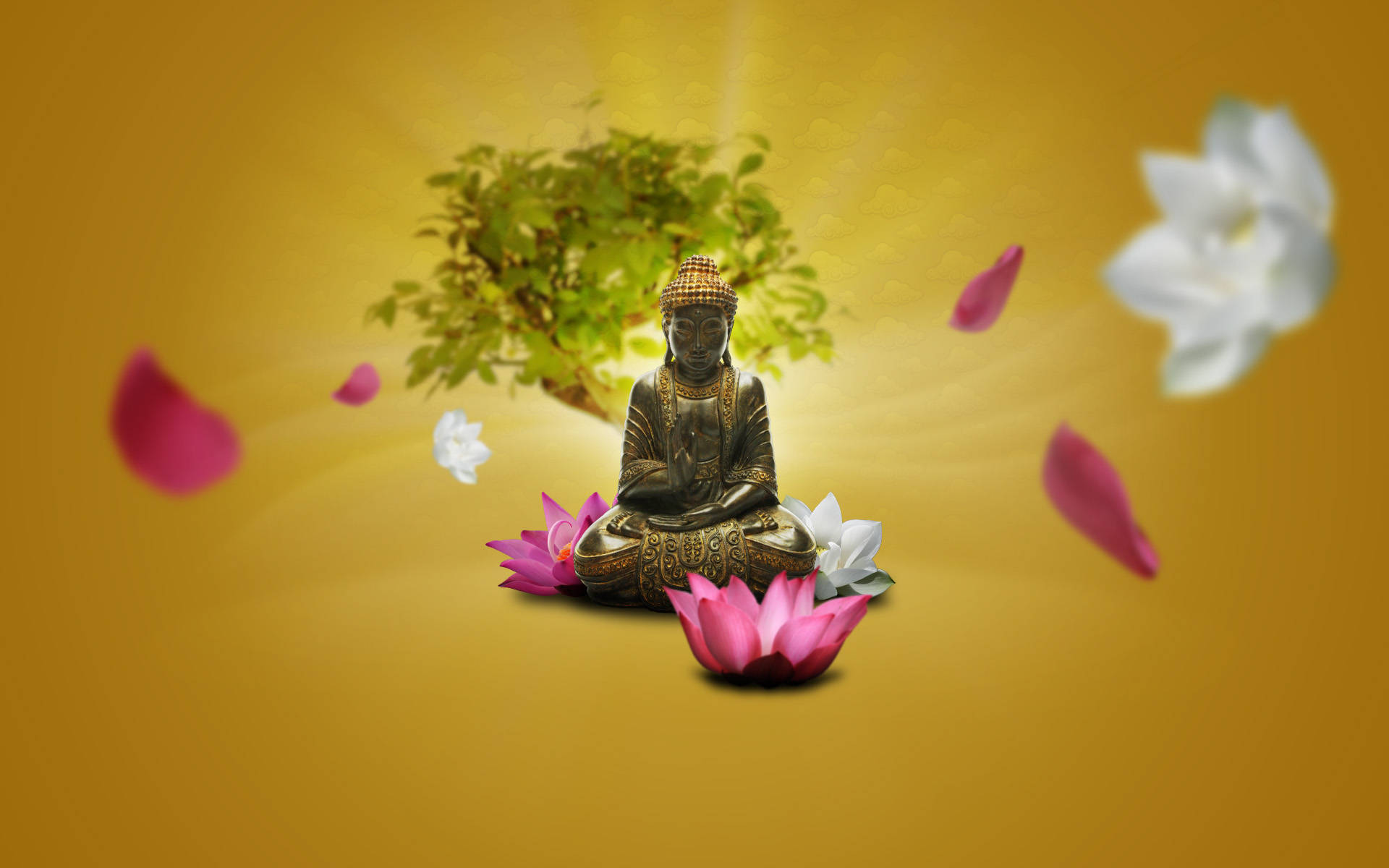 Buddha Desktop, yellow gradient backdrop, pink lotus petals, Full HD Desktop Wallpaper