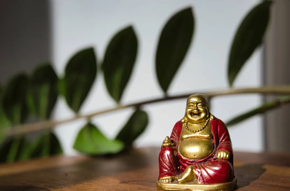 Buddha Quotes