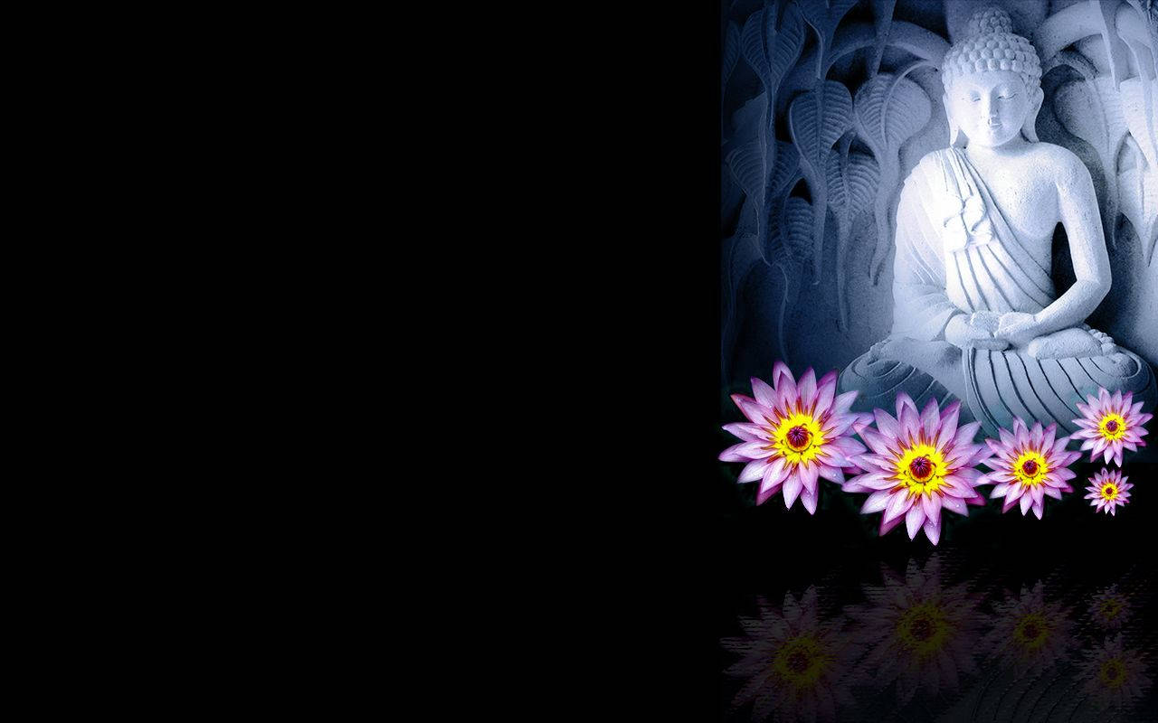 Buddha, white Buddha statue, pink water lilies, HD Desktop Wallpaper