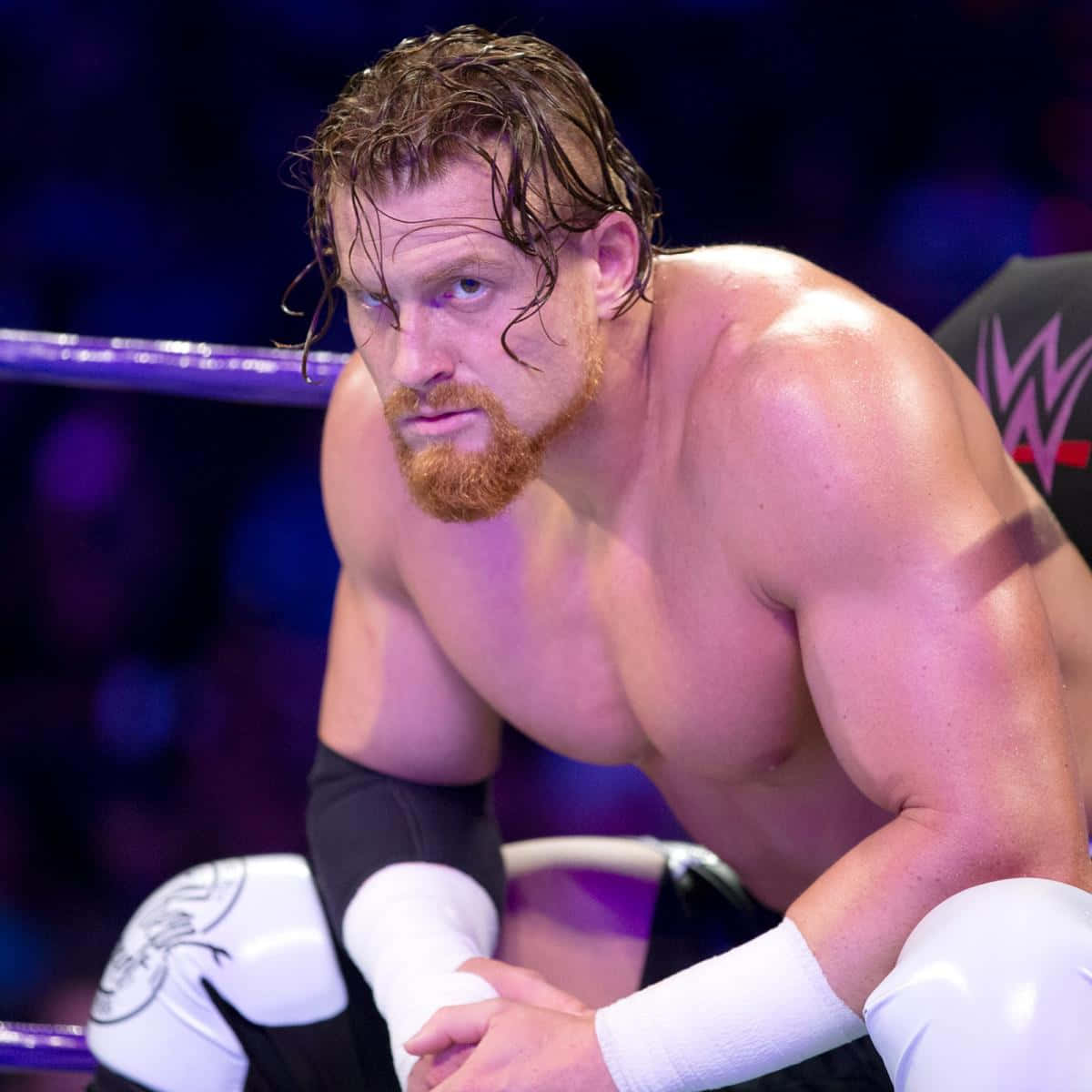 Buddy Murphy, ring, purple lights, SD Desktop Wallpaper