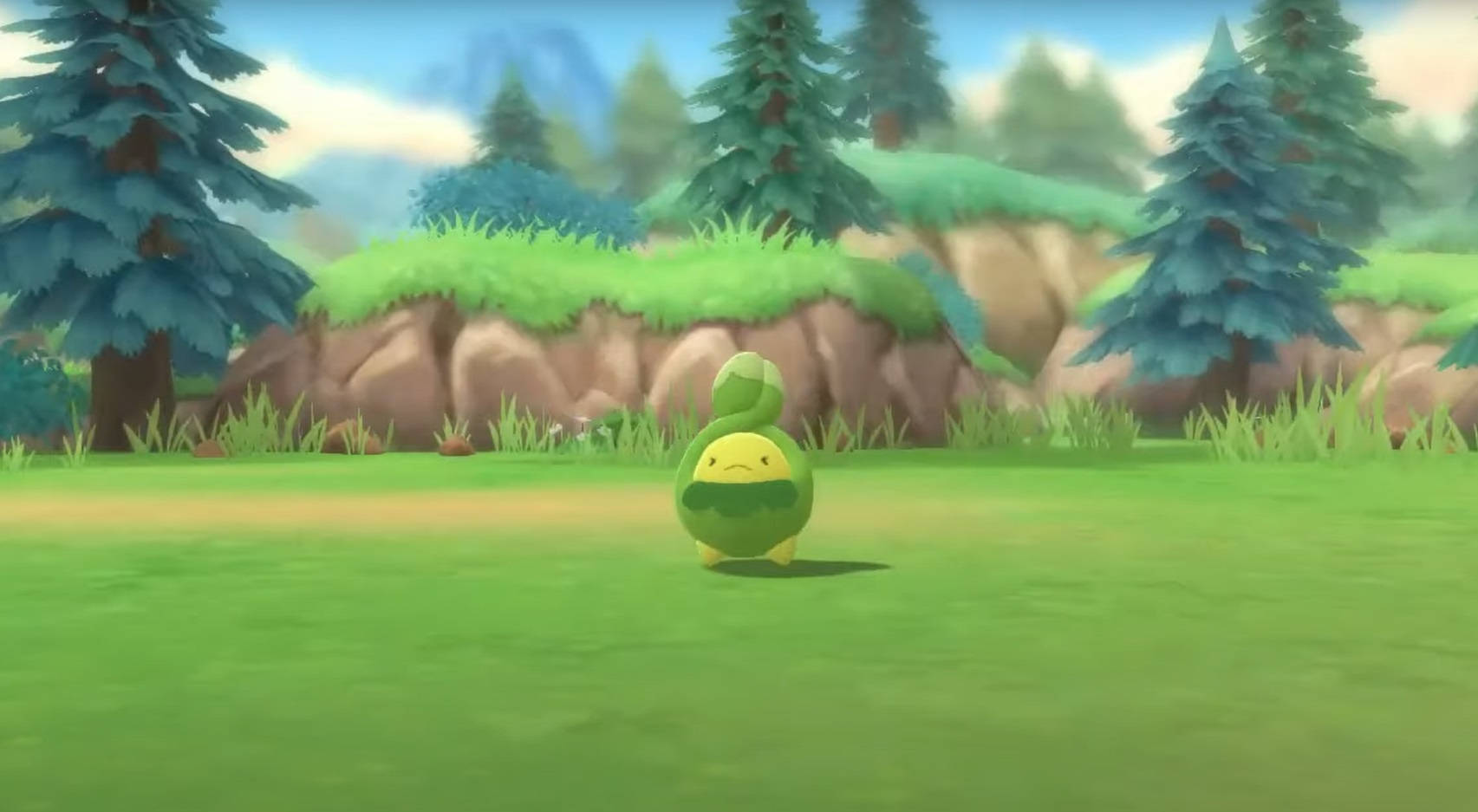 Budew, grassy field, pine trees, HD Desktop Wallpaper