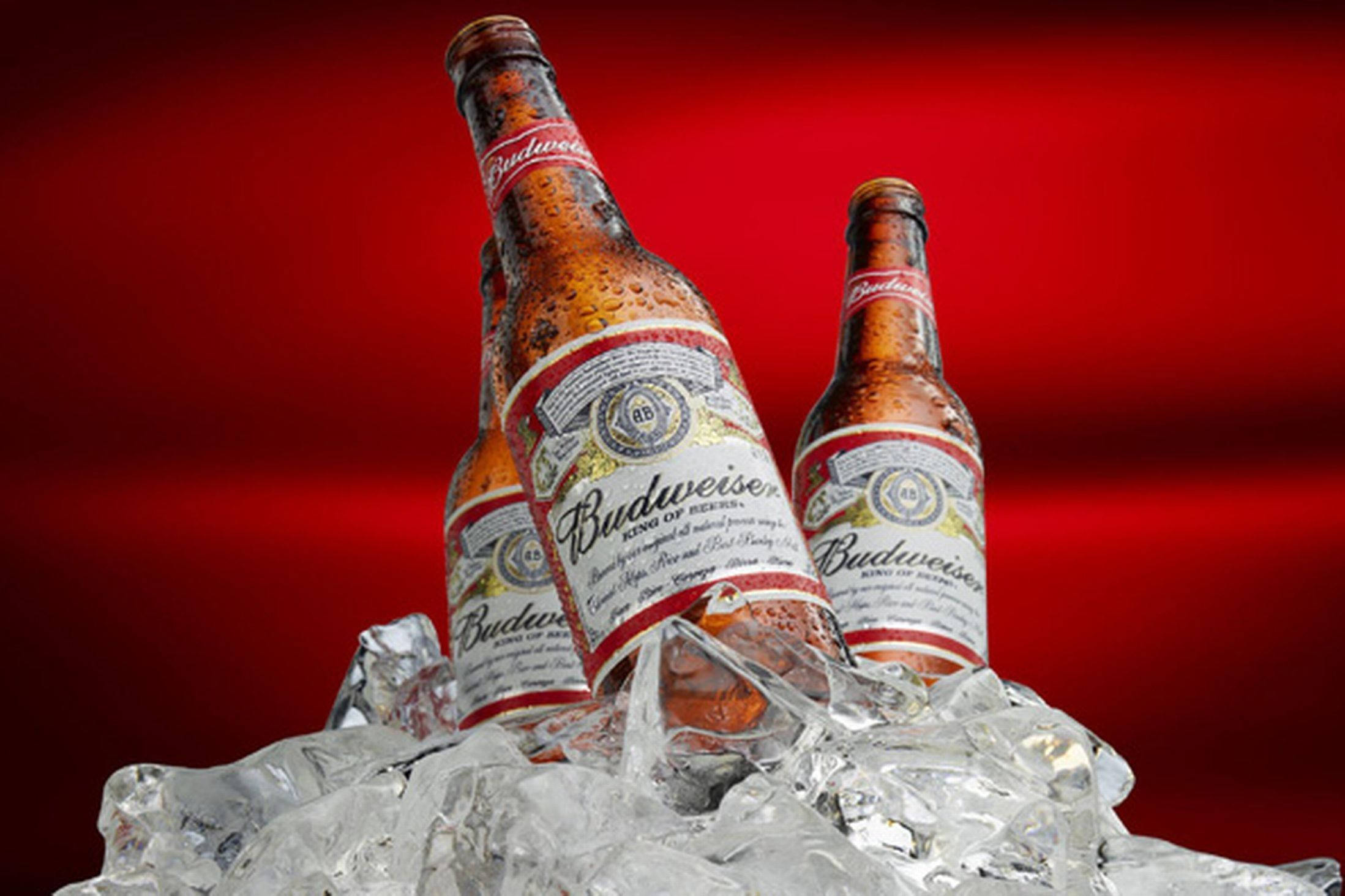 Budweiser, sweating bottles, chilled Budweiser bottles, Full HD Desktop Wallpaper