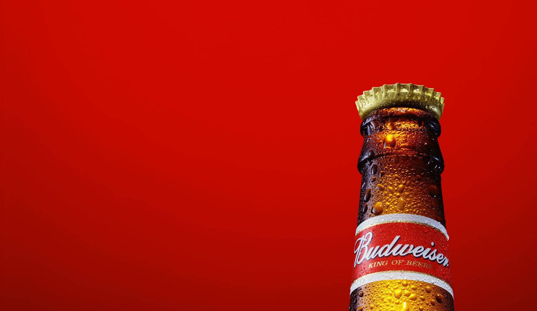 Budweiser, chilled Budweiser beer bottle, condensation, HD Desktop Wallpaper