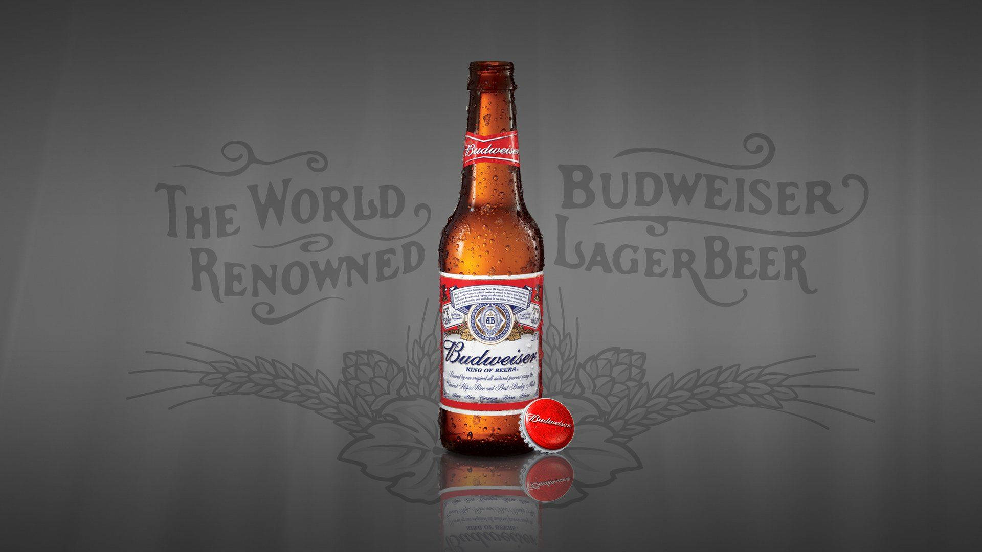 Budweiser, bottled beer, condensation, Full HD Desktop Wallpaper