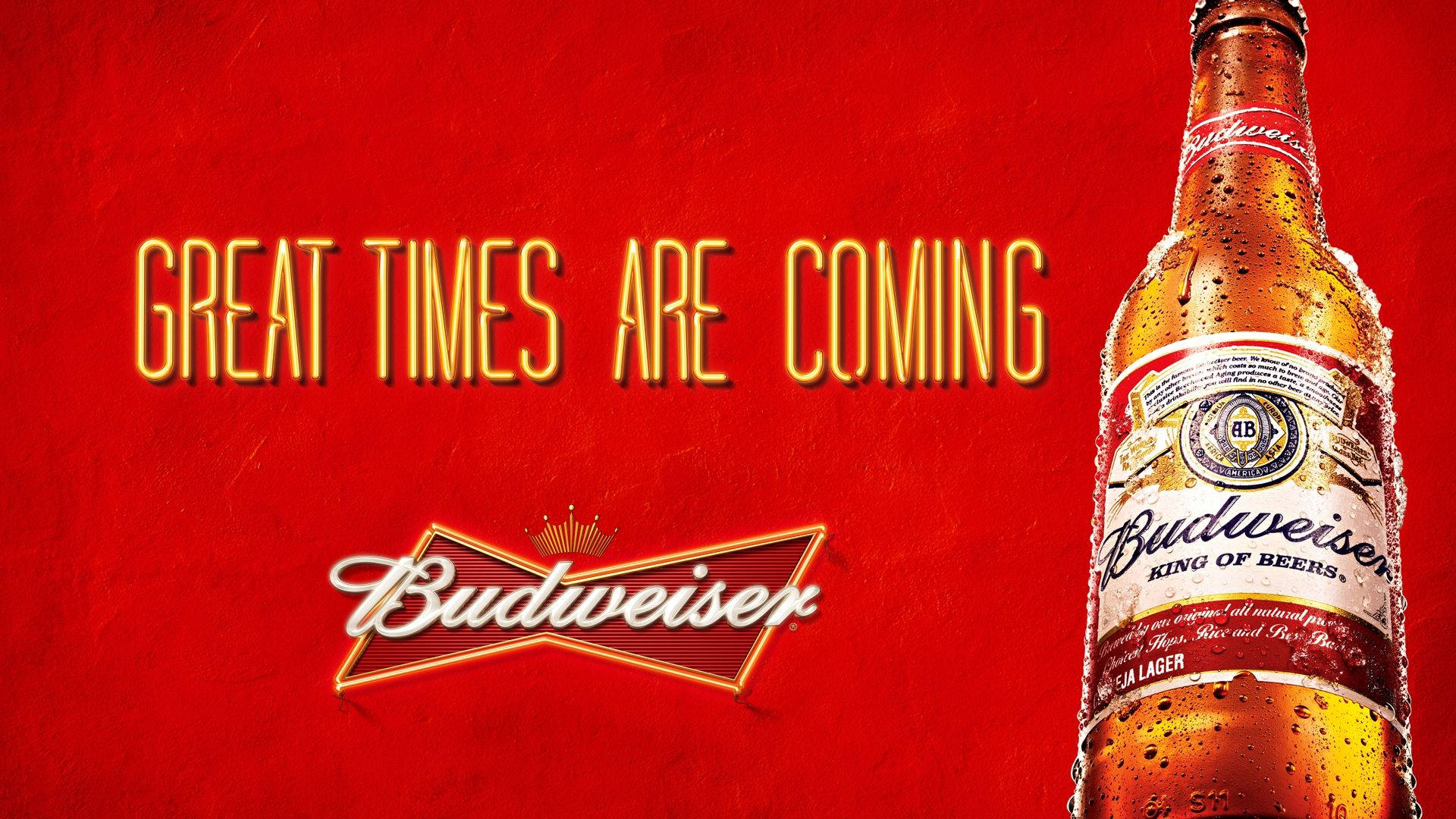 Budweiser, chilled Budweiser beer bottle, vibrant red textured background, Full HD Desktop Wallpaper
