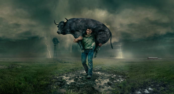 man, buffalo, stormy rural field, SD Desktop Wallpaper