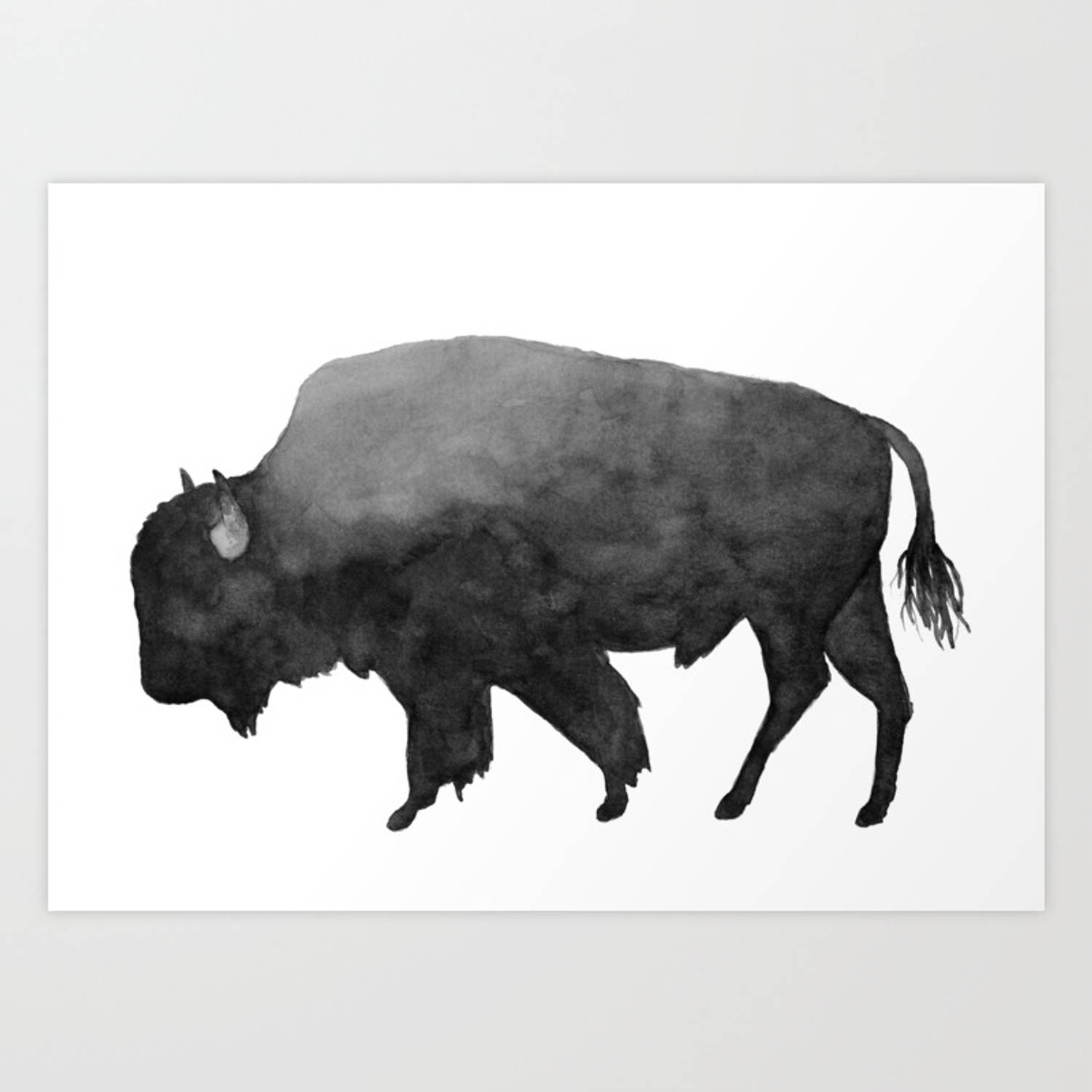buffalo, charcoal painting, monochrome watercolor, HD Desktop Wallpaper
