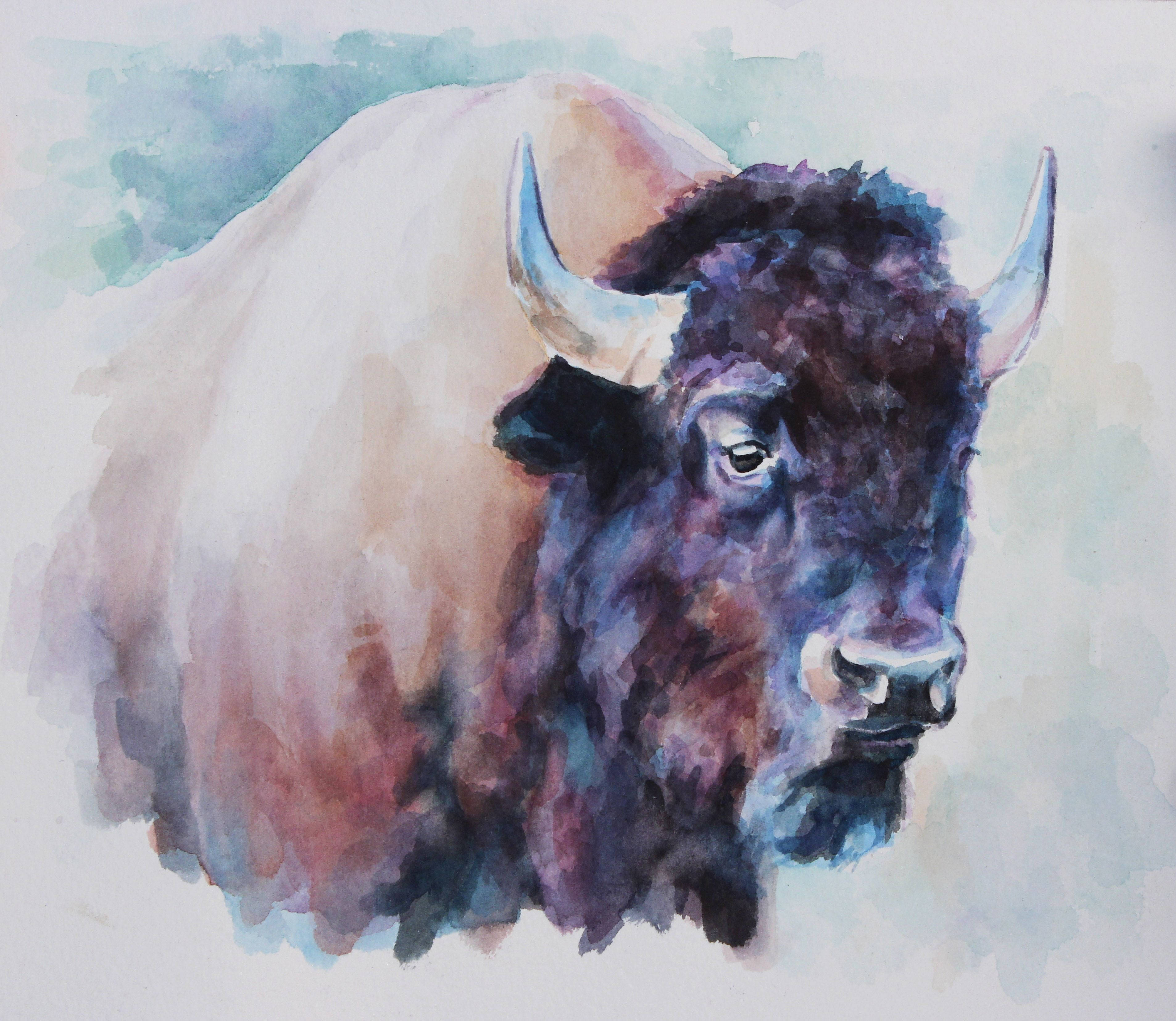 Buffalo, watercolor painting, textured coat, 2K Desktop Wallpaper