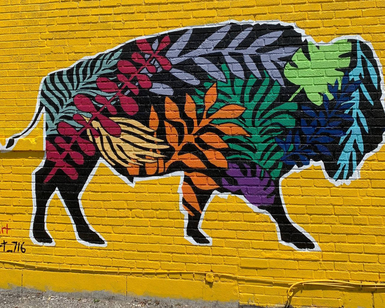 Buffalo, bison, tropical leaves, HD Desktop Wallpaper
