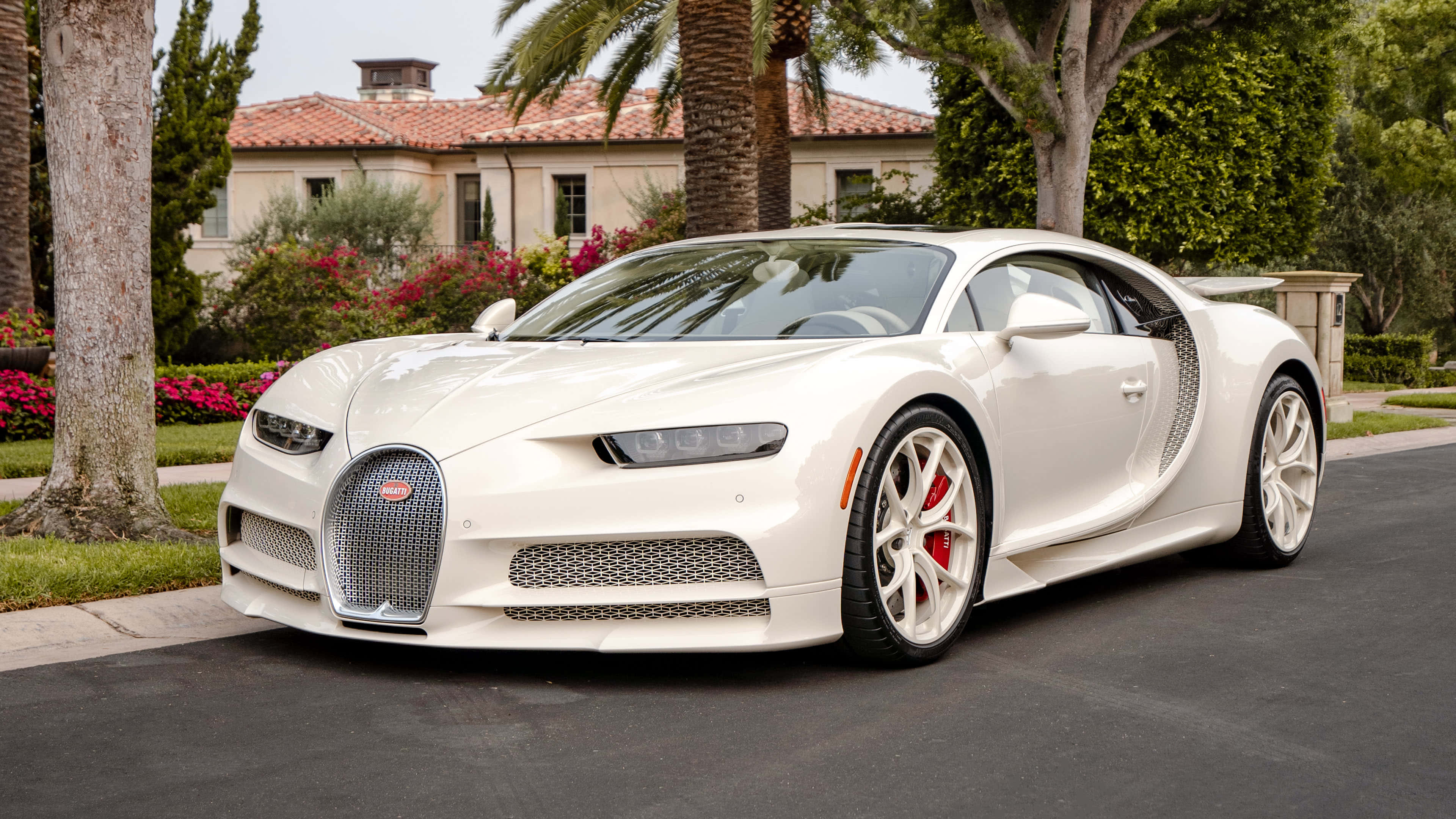 Bugatti Chiron, white, palm-lined street, 4K Desktop Wallpaper