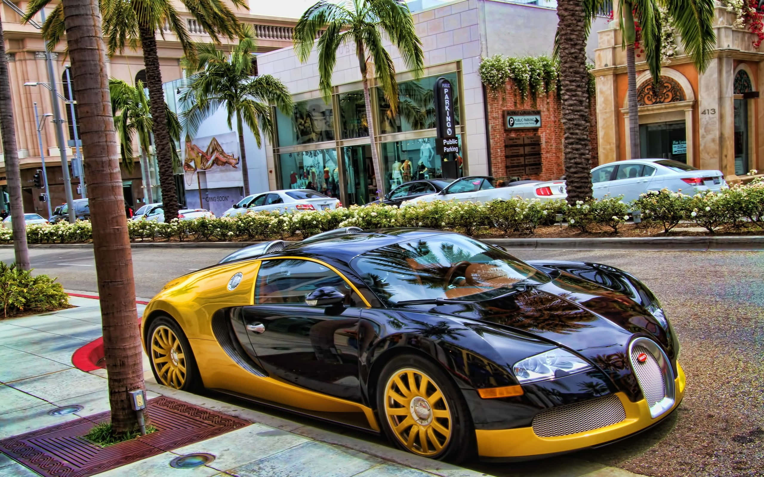 Bugatti Veyron, black and gold, palm tree-lined city street, 2K Desktop Wallpaper