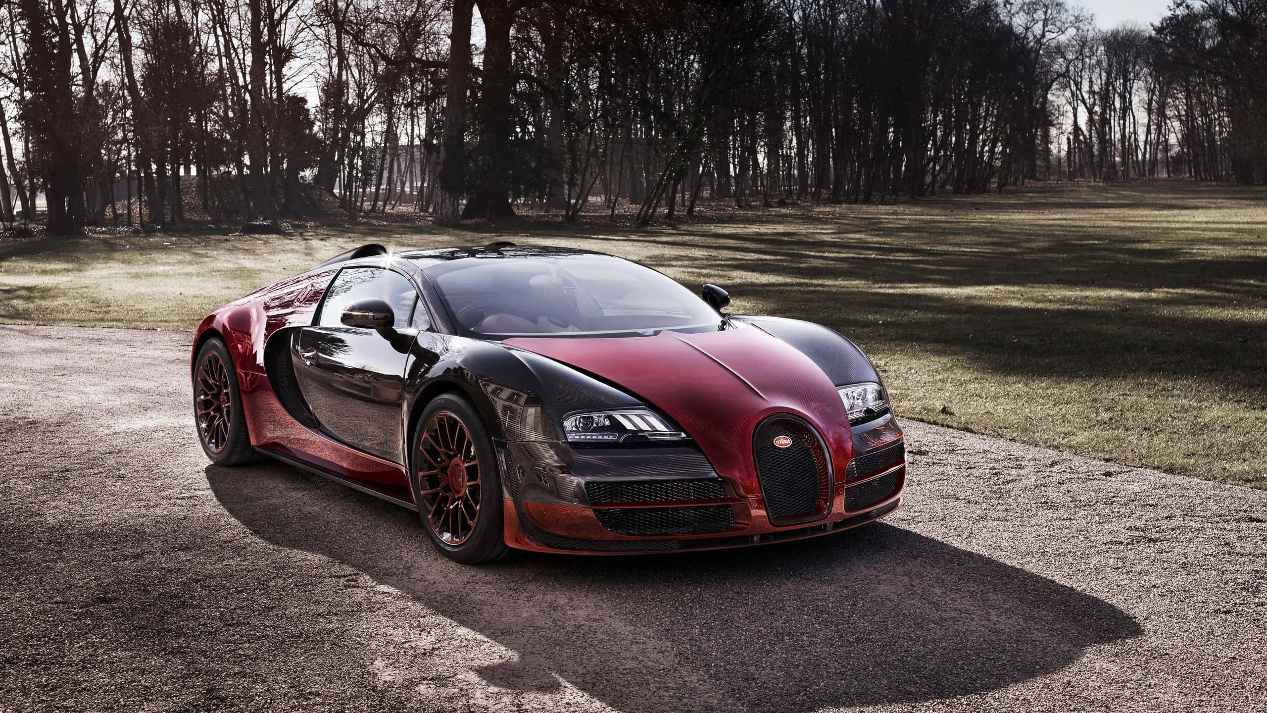 Bugatti Veyron, red and black, gravel path, 2K Desktop Wallpaper
