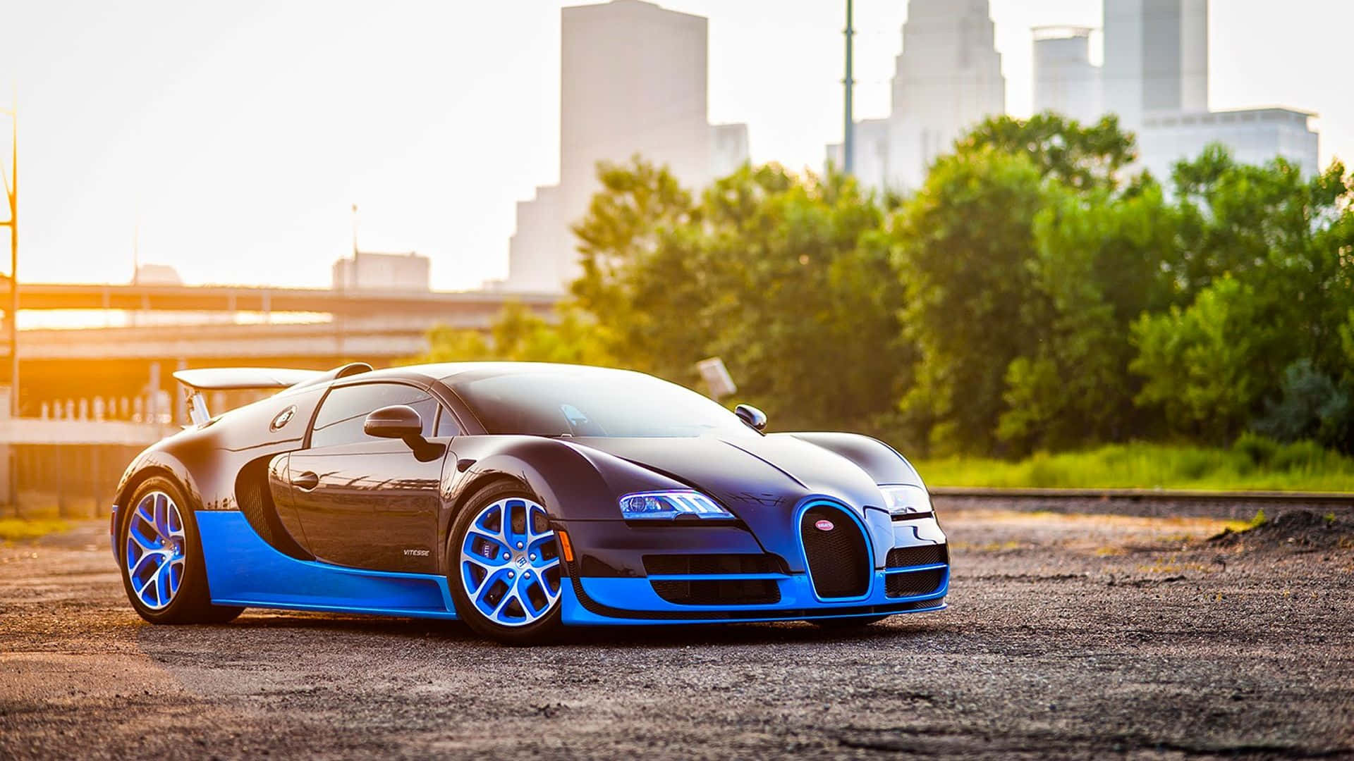 Bugatti Veyron, black and blue, asphalt, Full HD Desktop Wallpaper