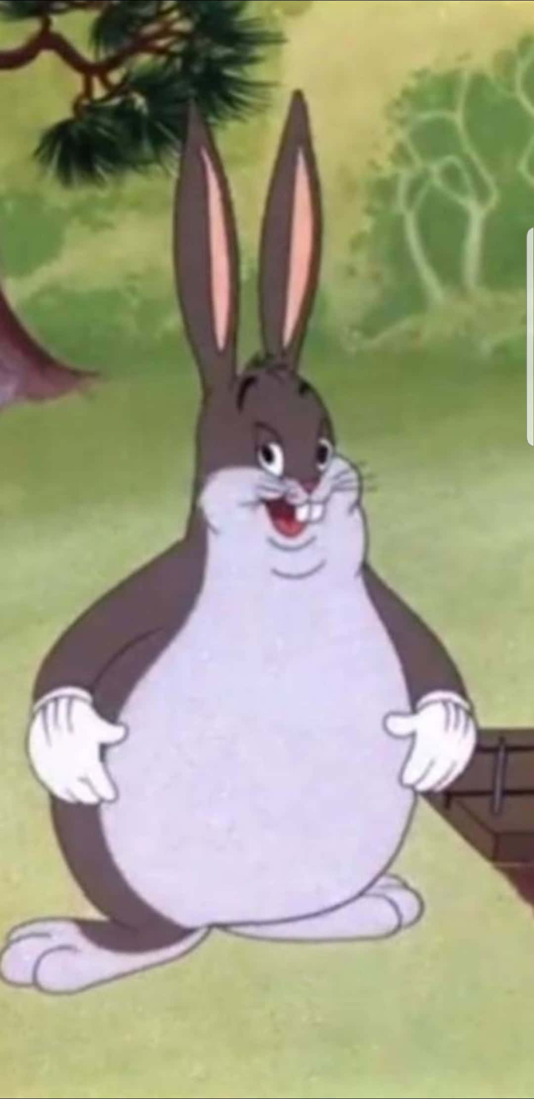 Bugs Bunny, iPhone, cartoon rabbit, Full HD Phone Wallpaper