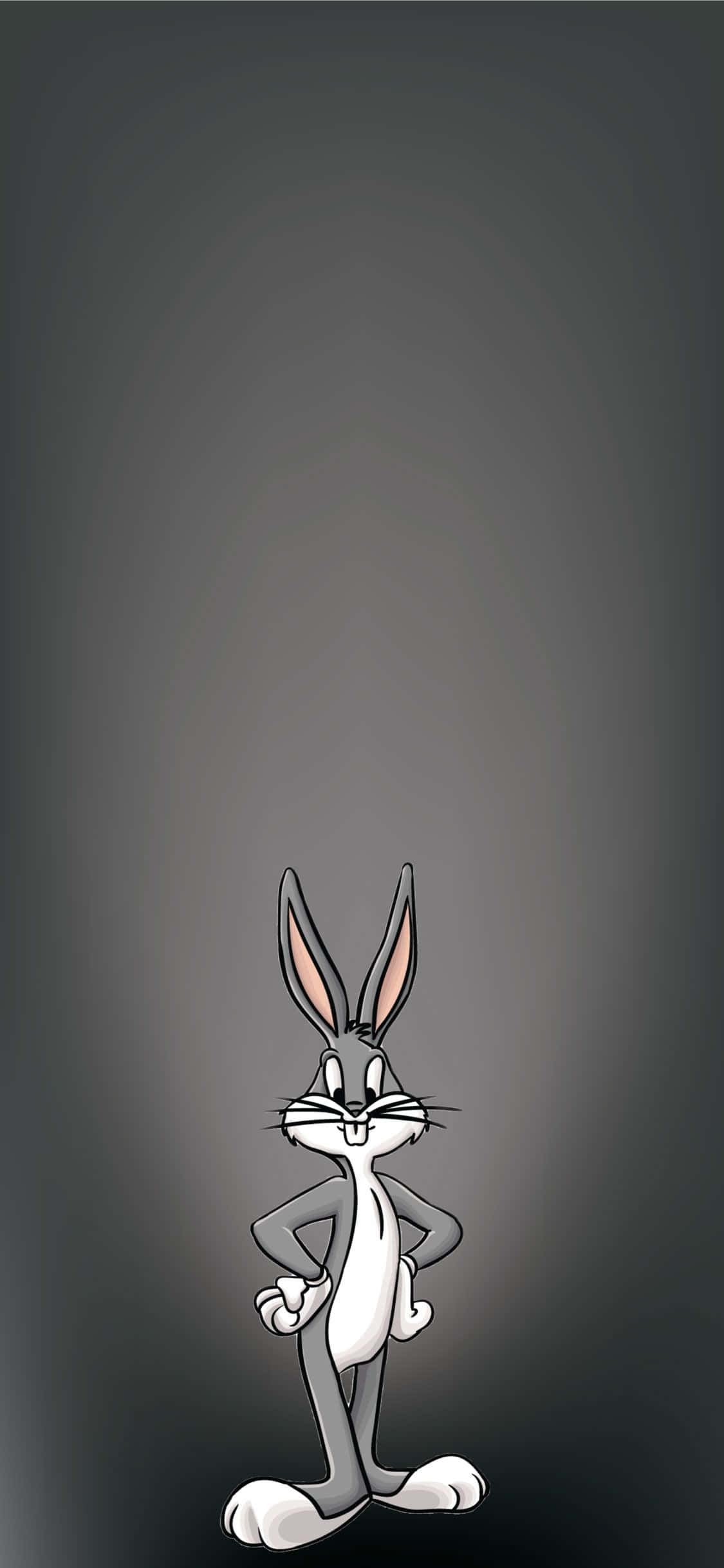 Bugs Bunny, cartoon rabbit, gradient gray background, Full HD Phone Wallpaper
