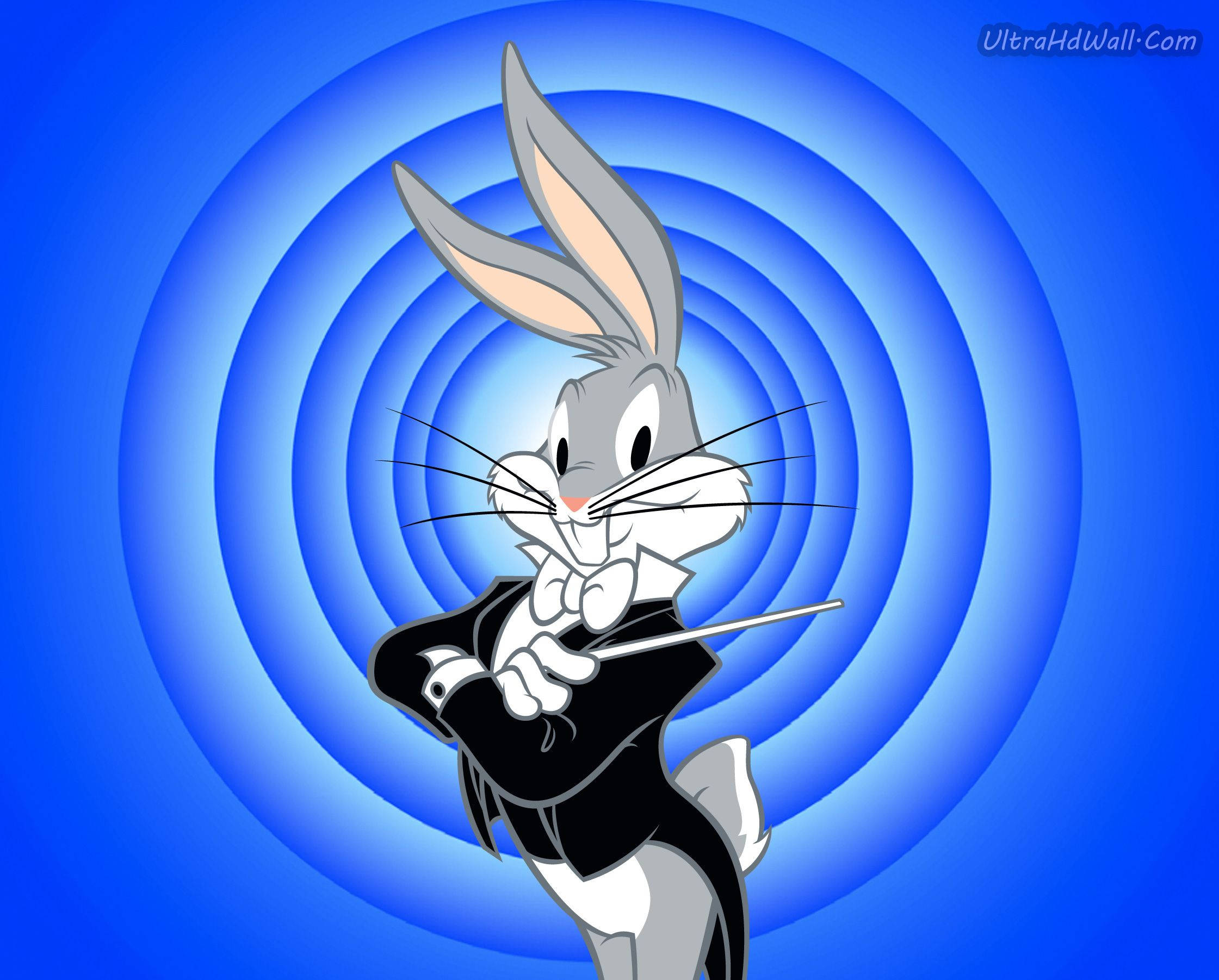 Bugs Bunny, tuxedo, conductor's baton, Full HD Desktop Wallpaper