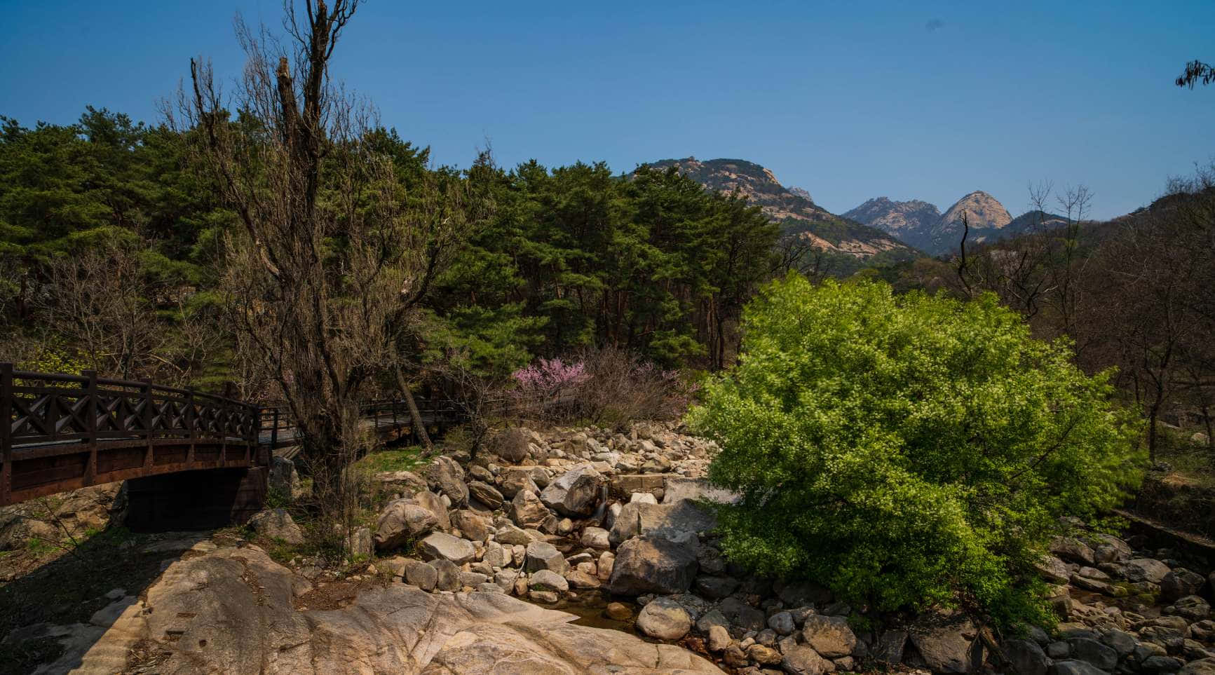 Bukhansan National Park, wooden bridge, rocky stream, HD Desktop Wallpaper