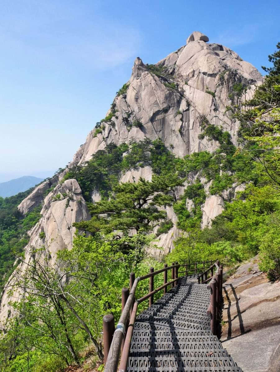 Bukhansan National Park, mountain trail, metal staircase, SD Phone Wallpaper