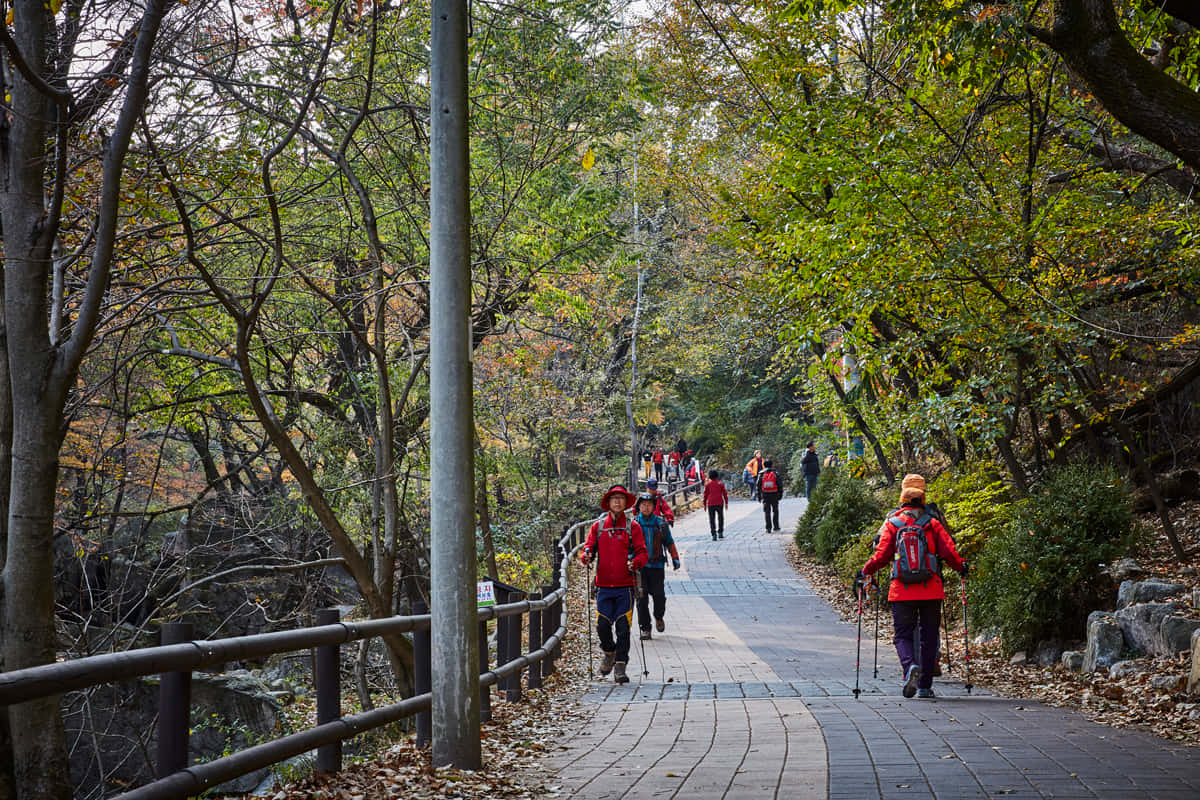 Bukhansan National Park, autumn leaves, stone path, SD Desktop Wallpaper