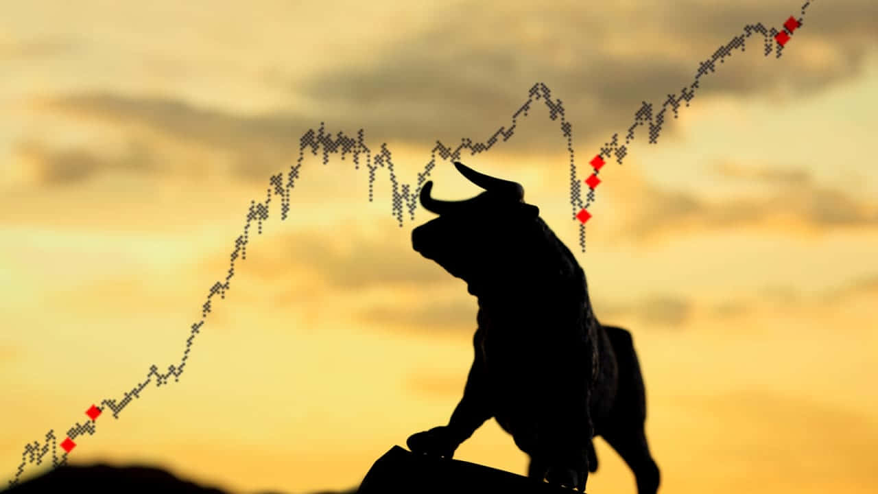 Bull Market, bull statue, golden sunset, HD Desktop Wallpaper