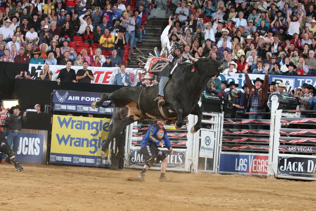 Bull Riding