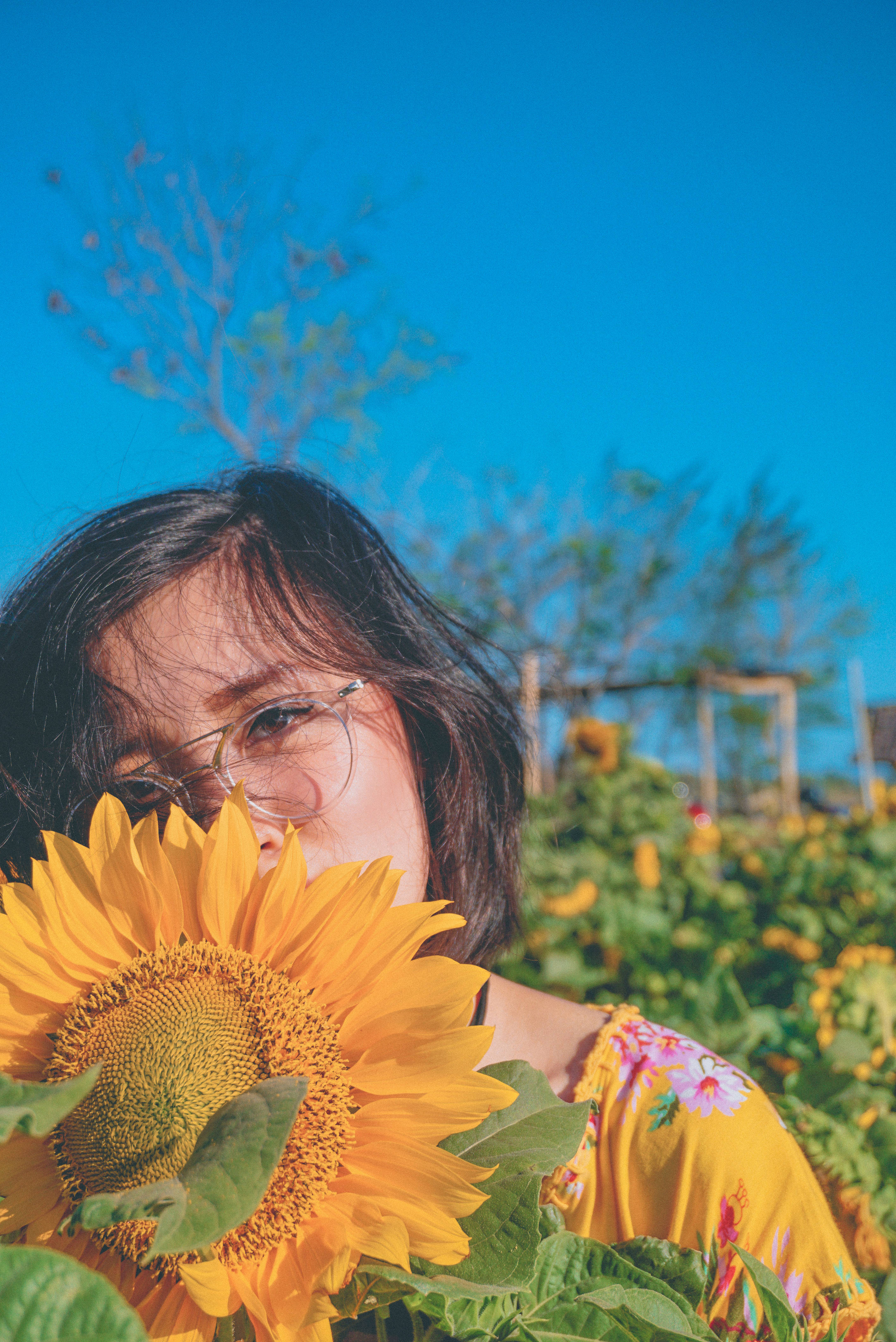Bunga, giant sunflower, clear blue sky, 4K Phone Wallpaper