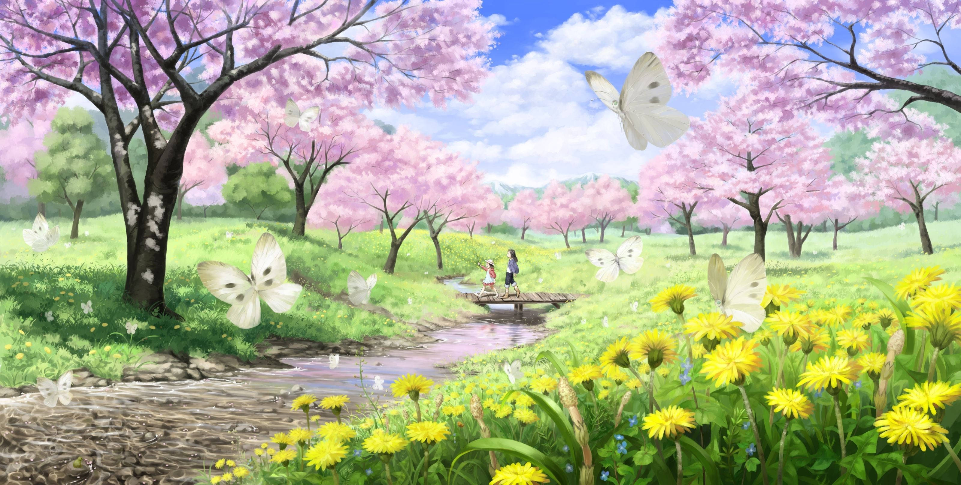 Bunga, cherry trees, white butterflies, 2K Desktop Wallpaper
