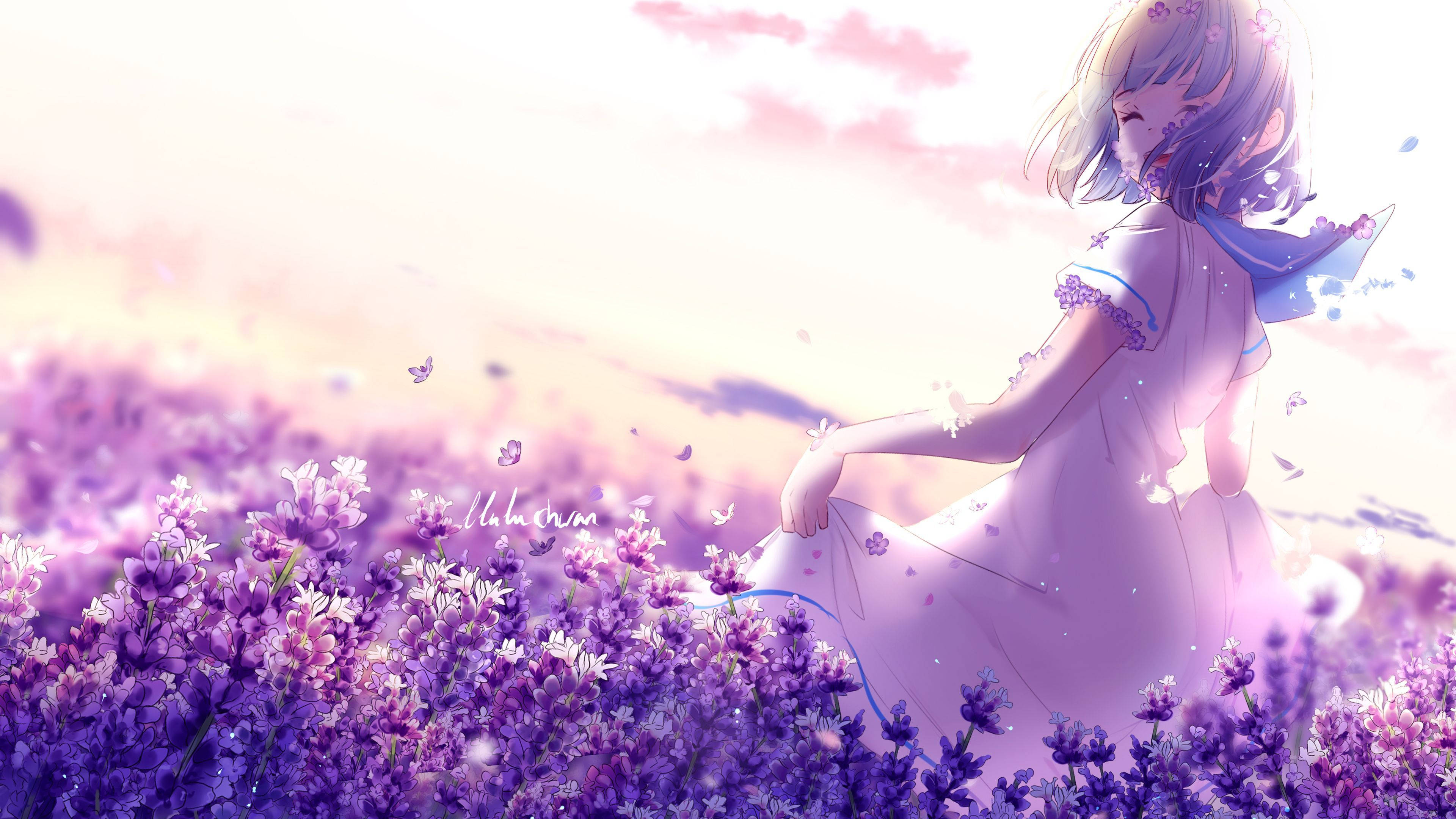Bunga, anime girl, purple lavender field, 4K Desktop Wallpaper