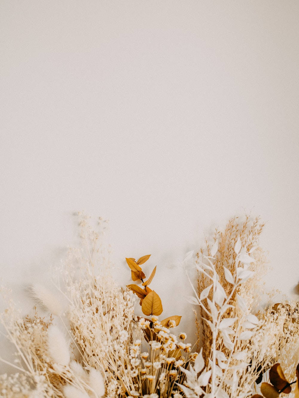 Bunga, pampas grass, eucalyptus leaves, HD Phone Wallpaper
