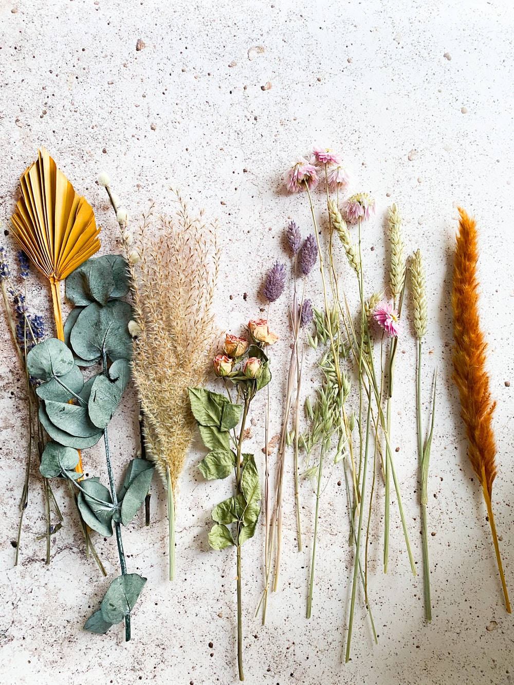 dried bunga, eucalyptus, lavender, HD Phone Wallpaper
