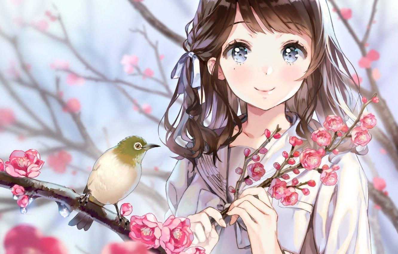 girl bird, Bunga, cherry blossom branches, HD Desktop Wallpaper