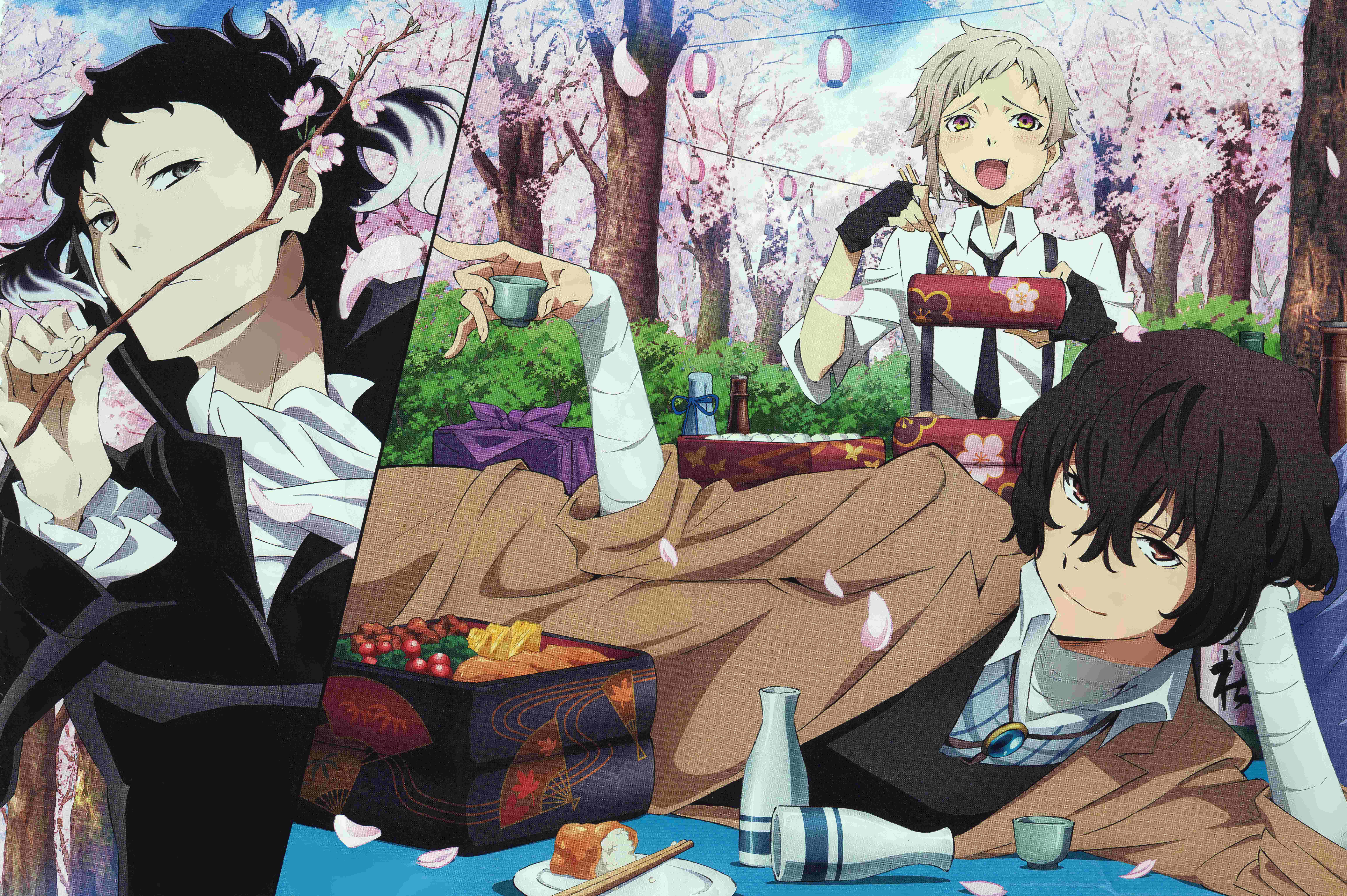 Bungou Stray Dogs, cherry blossom picnic, sake, 8K Desktop Wallpaper