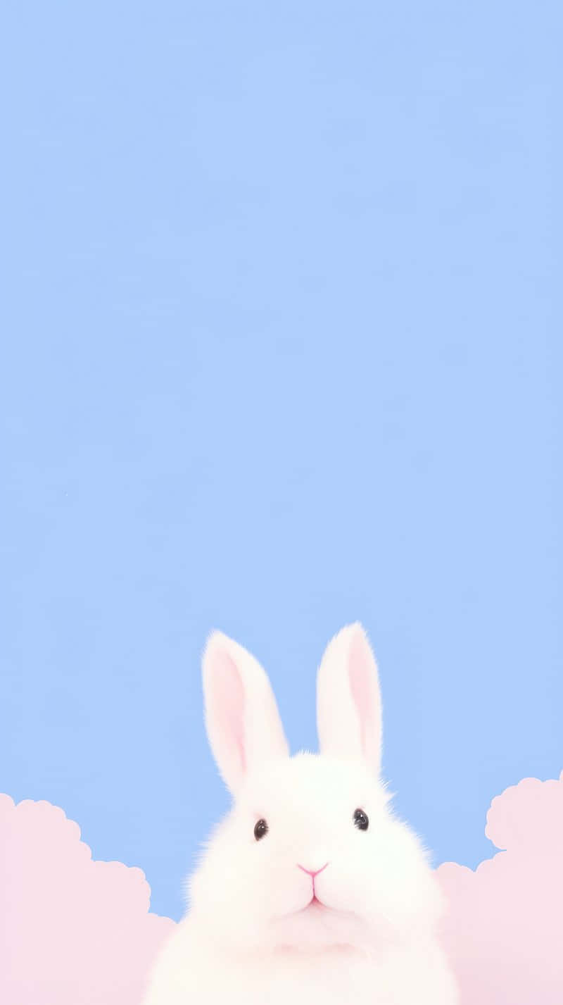 Pastel Bunny Clouds Aesthetic, fluffy white rabbit, soft pink clouds, HD Phone Wallpaper