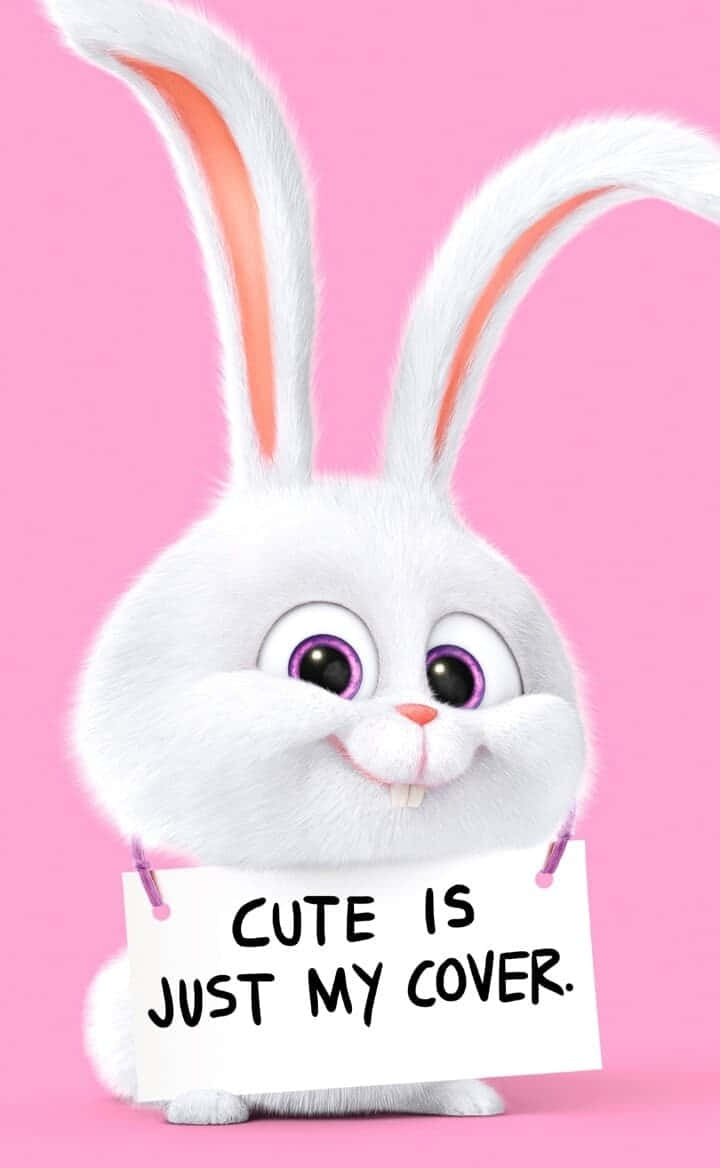 kawaii bunny, fluffy white animated bunny, purple eyes, SD Phone Wallpaper