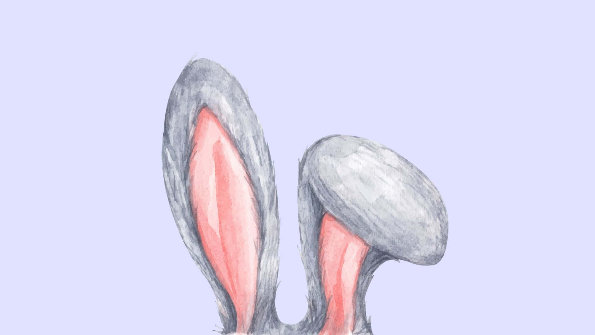 cute bunny ears illustration, gray rabbit ears, pink inner linings, Full HD Desktop Wallpaper