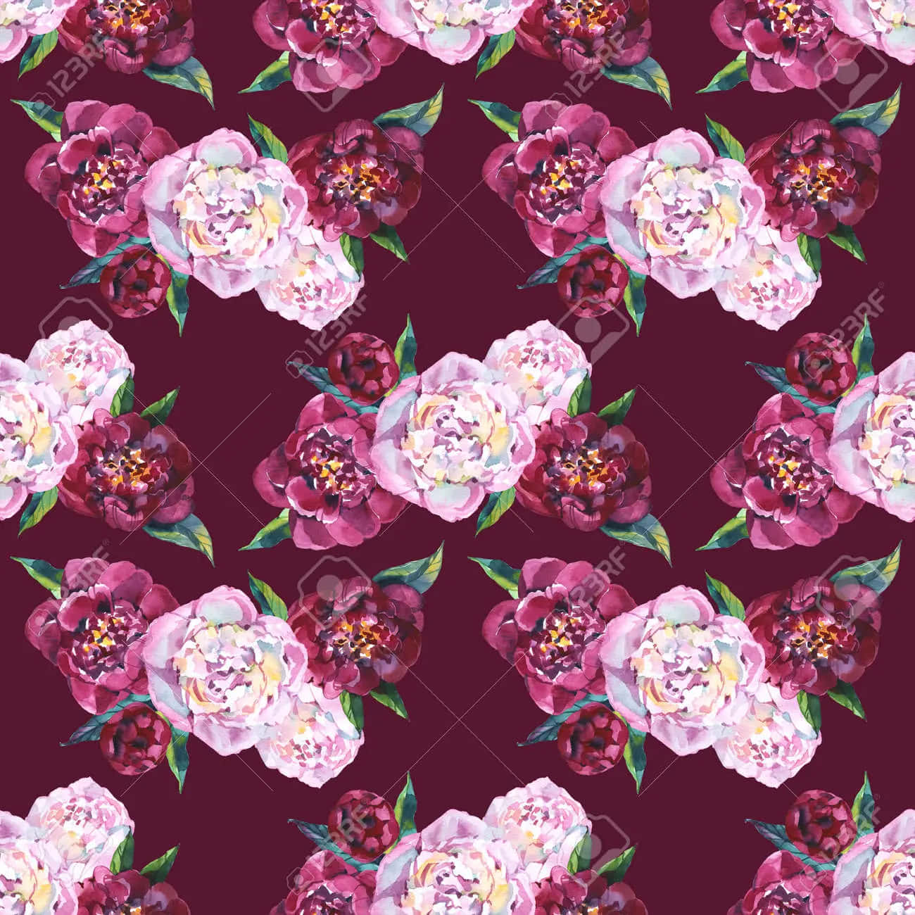 pink and white flowers, maroon background, vibrant watercolor peonies, HD Desktop Wallpaper
