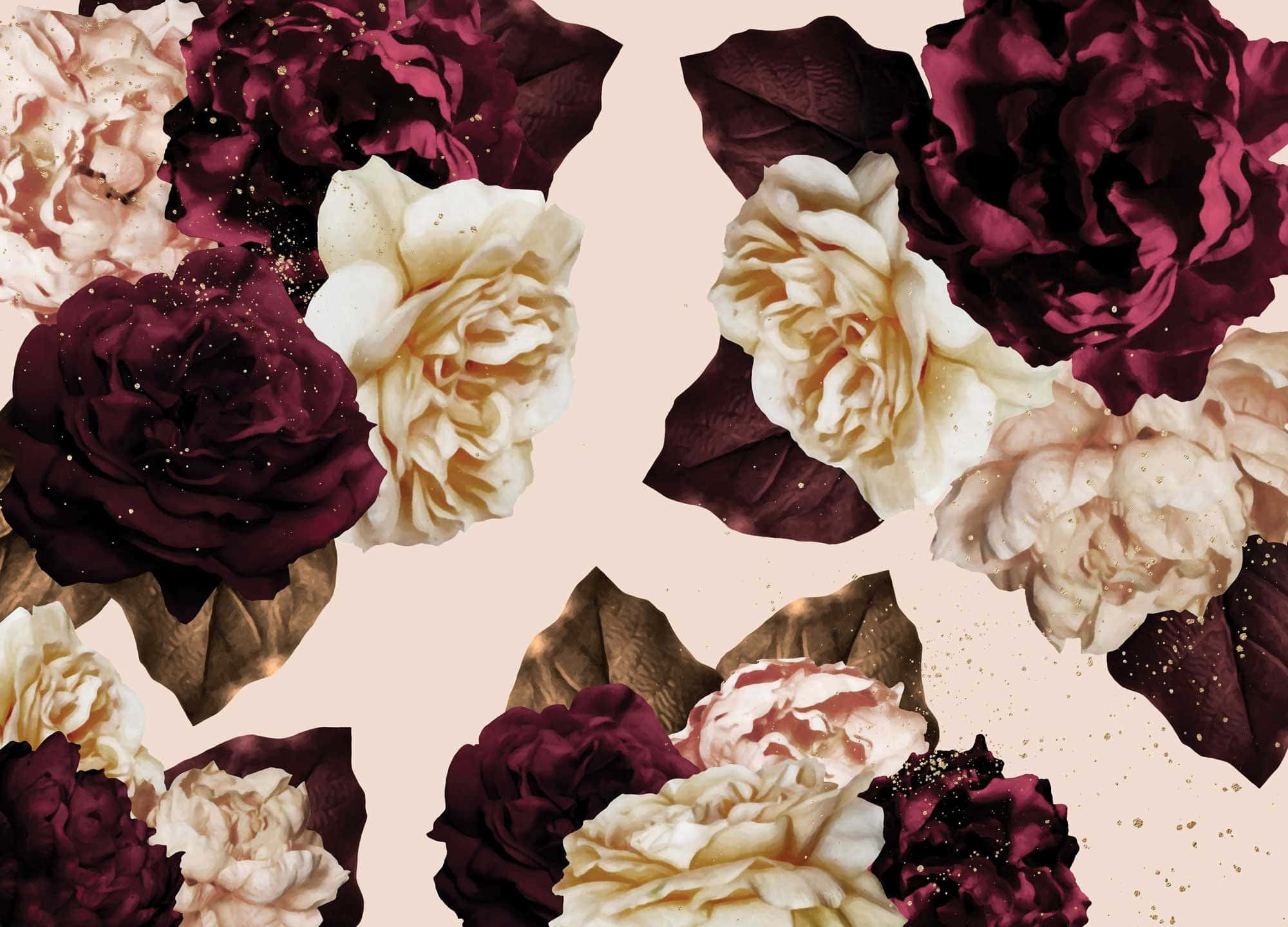 burgundy, cream, peonies, Full HD Desktop Wallpaper