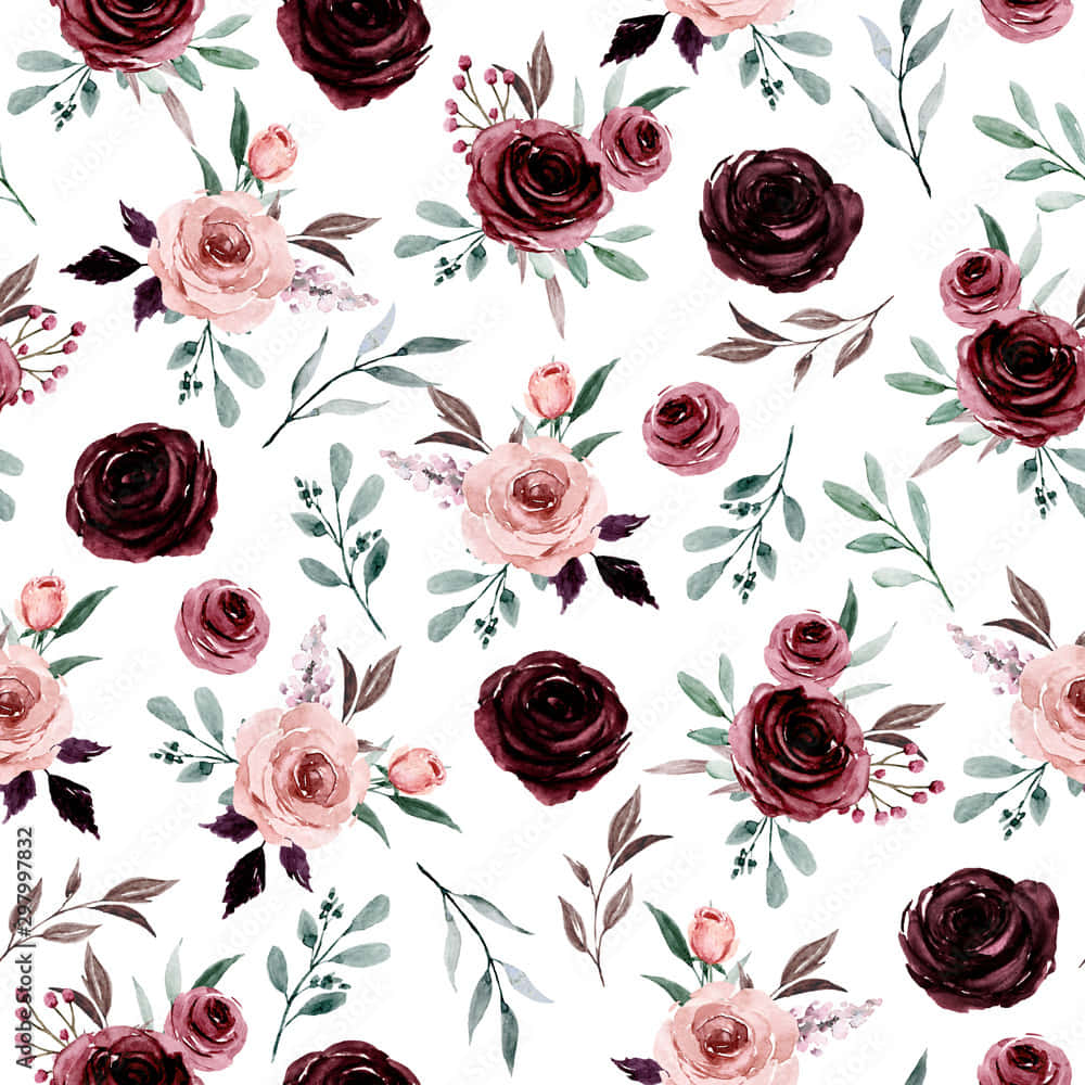Burgundy Flower, deep burgundy, soft pink roses, SD Desktop Wallpaper