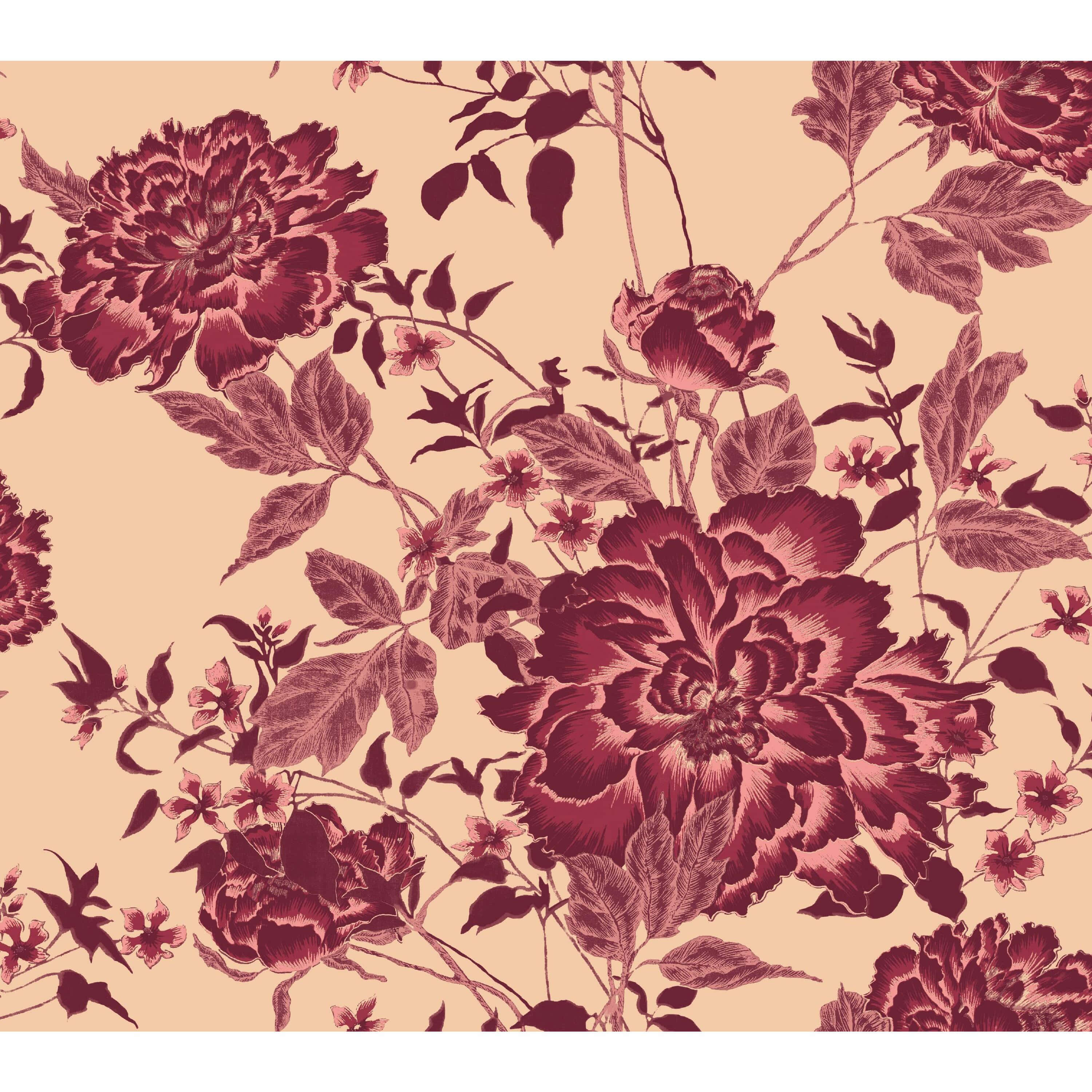 burgundy flower, 3000 x 3000, red-violet bloom, 2K Desktop Wallpaper