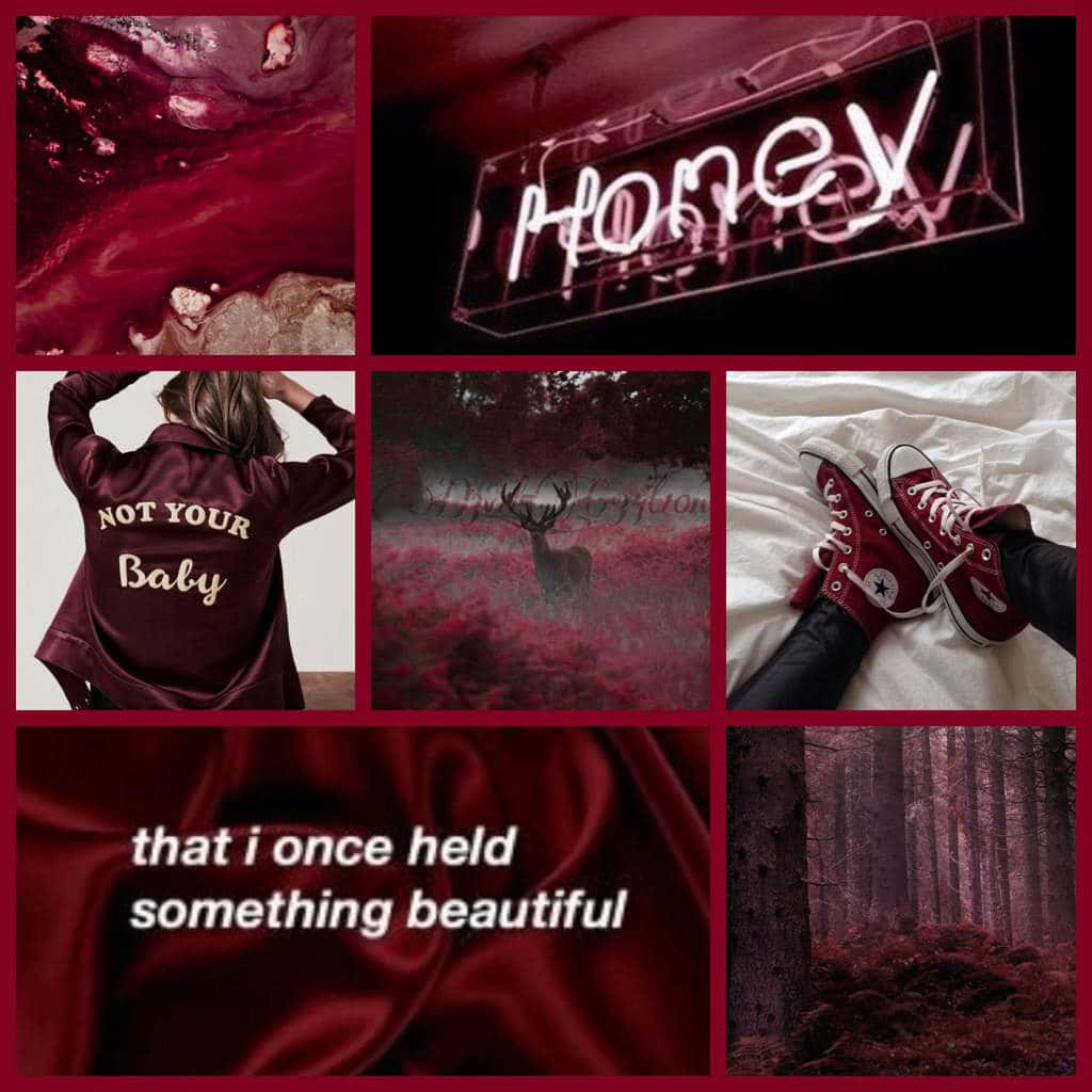 Burgundy Maroon Moodboard Collage, neon honey sign, deer in a field, SD Desktop Wallpaper