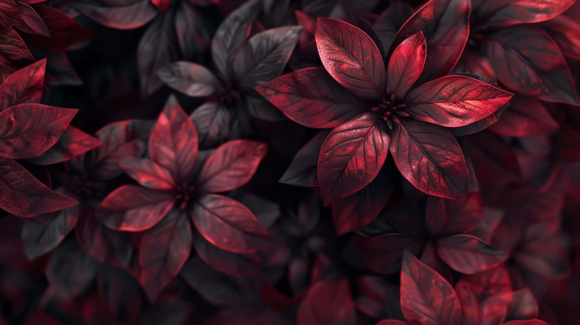 Burgundy Leaves Texture, crimson leaves, deep shadows, Full HD Desktop Wallpaper