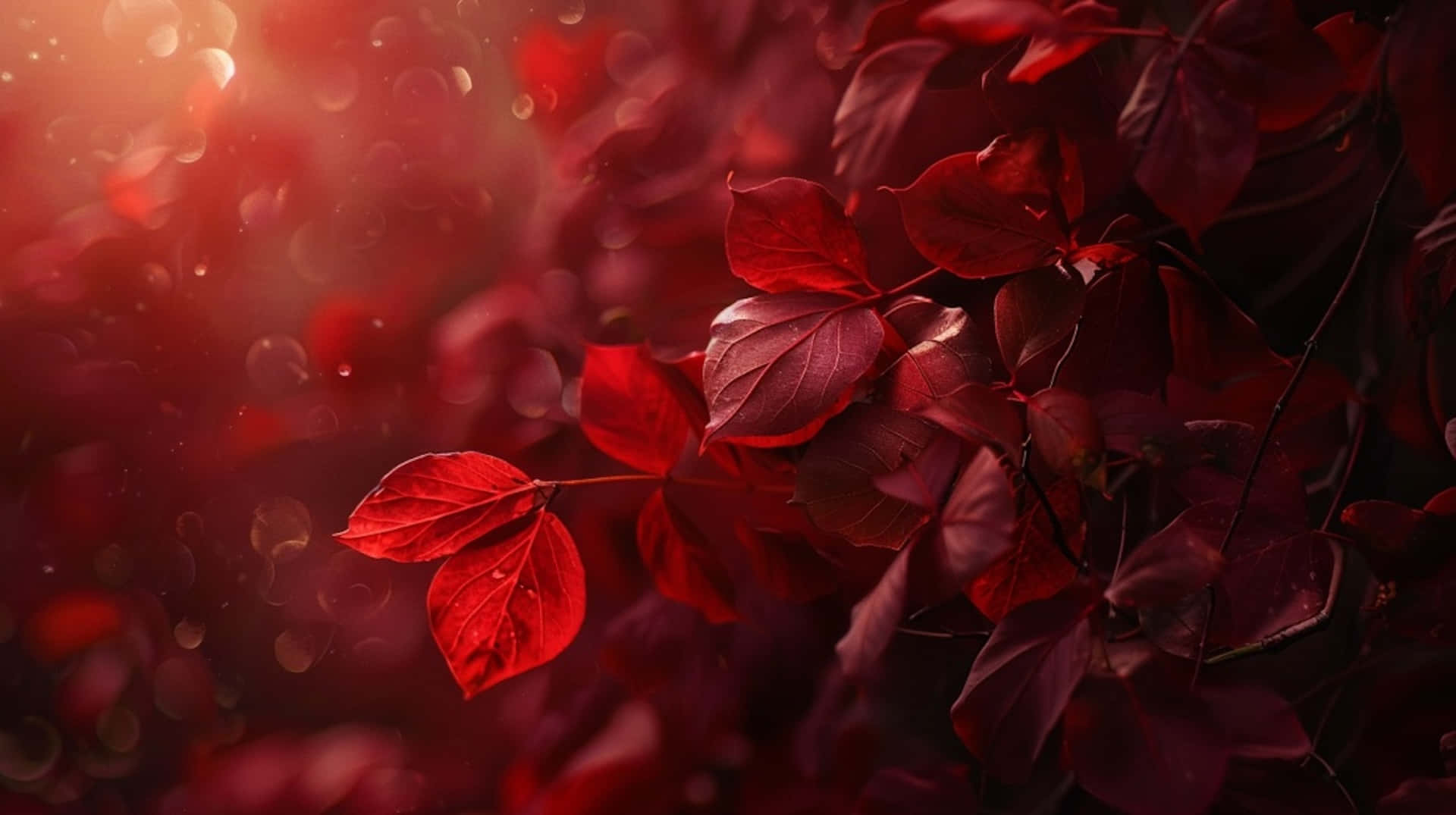 Burgundy Leaves, sunlight bokeh, vibrant red leaves, Full HD Desktop Wallpaper