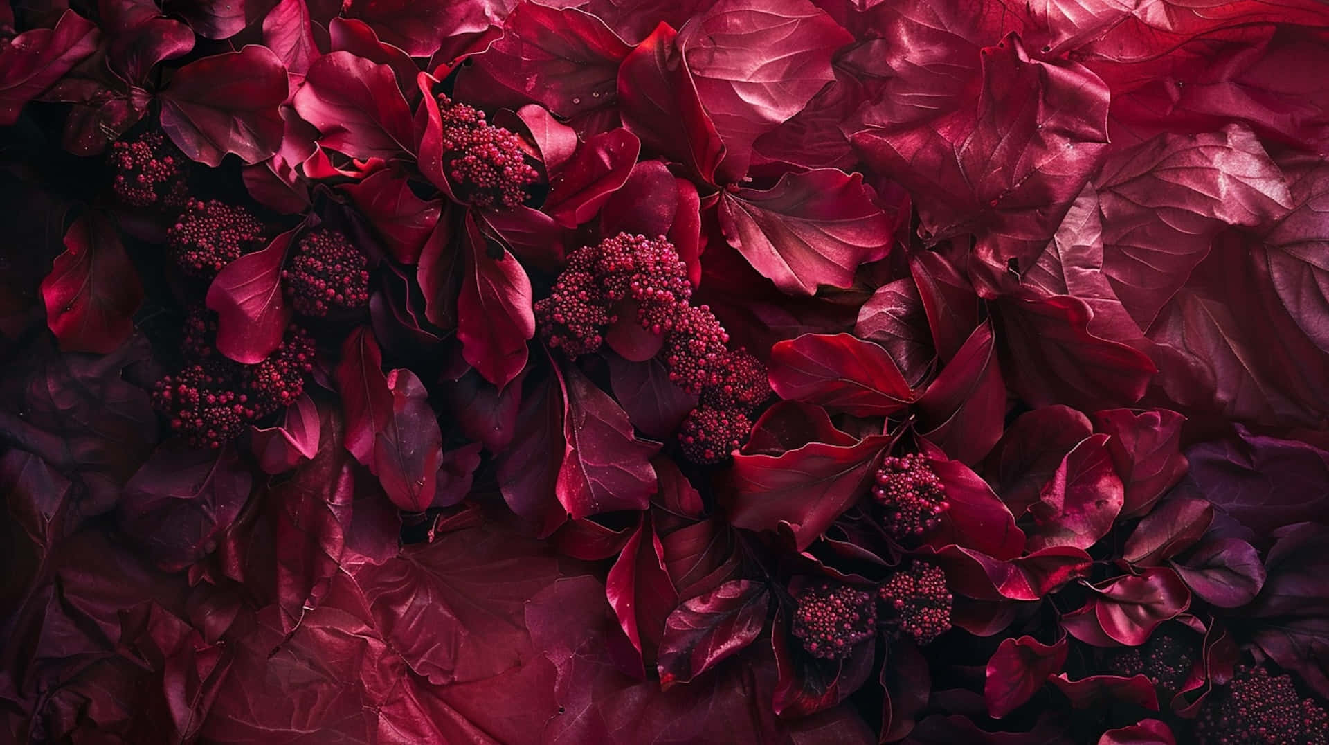 burgundy, leaves, berries, Full HD Desktop Wallpaper