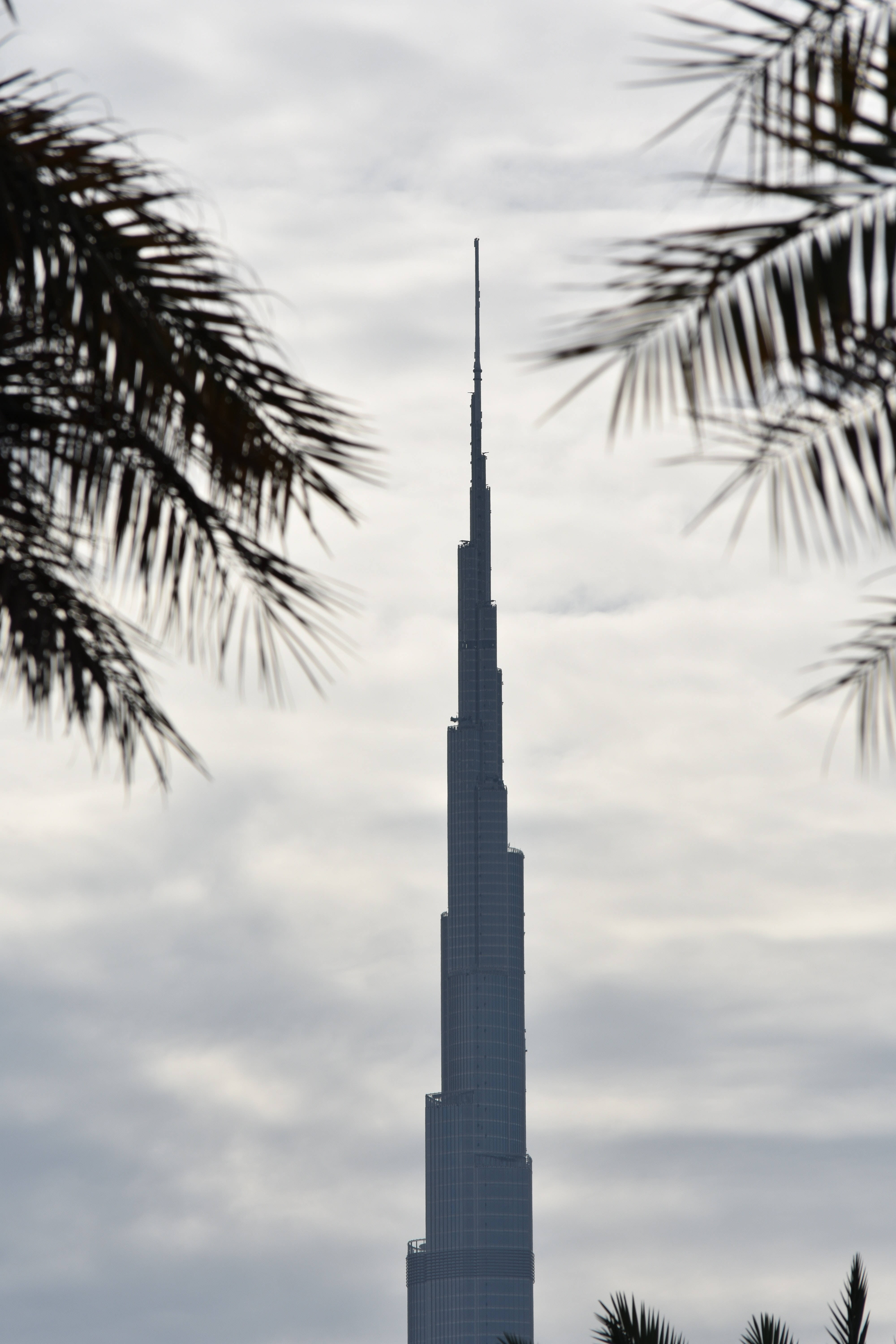 Burj Khalifa, palm trees, cloudy sky, 5K Phone Wallpaper