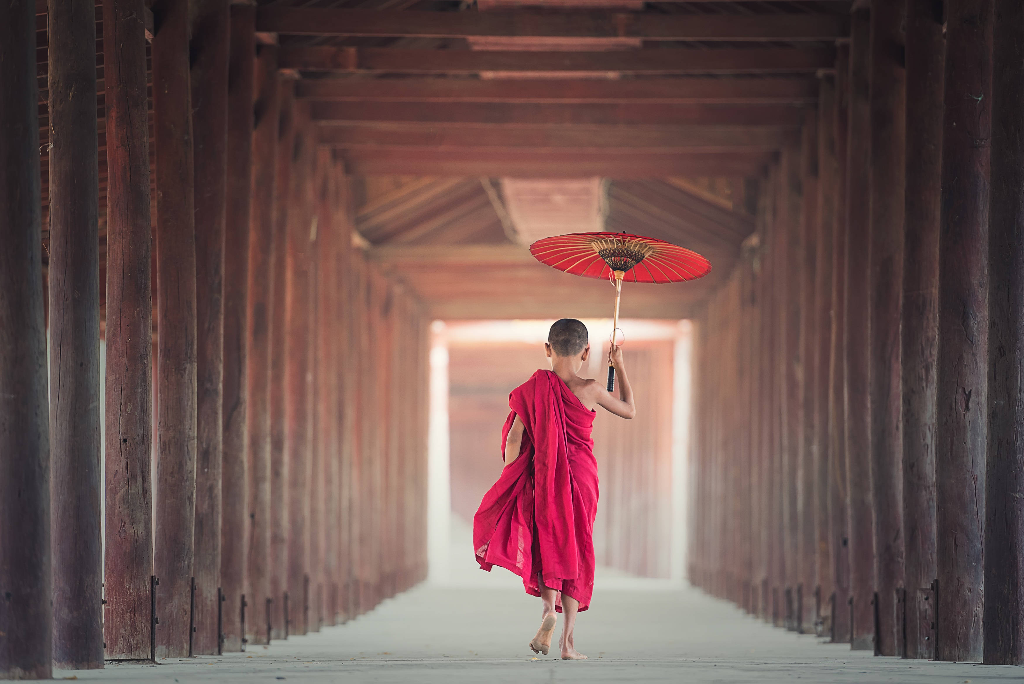 monk, Burma, vibrant red robes, 2K Desktop Wallpaper