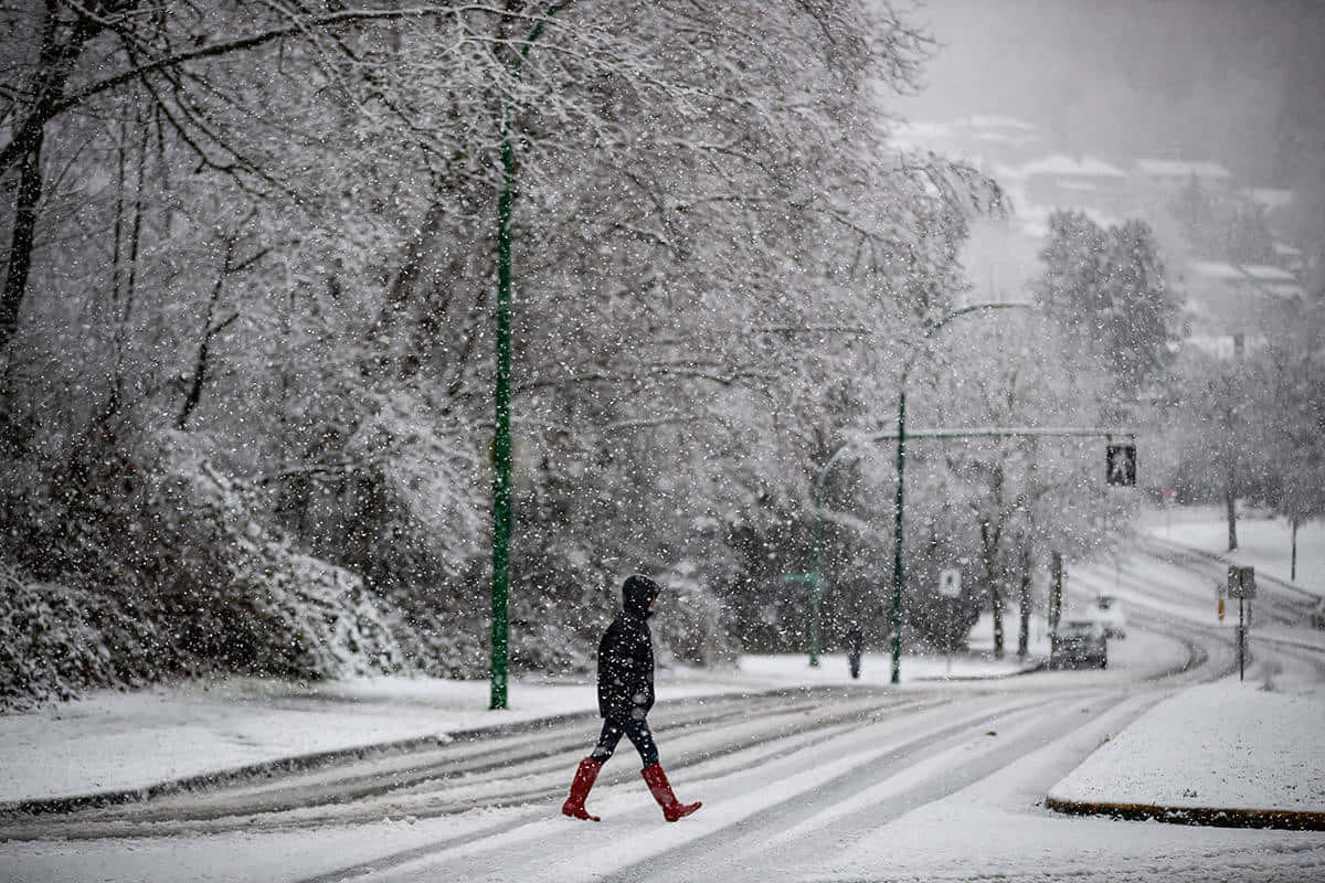 Burnaby, snowfall, red boots, SD Desktop Wallpaper